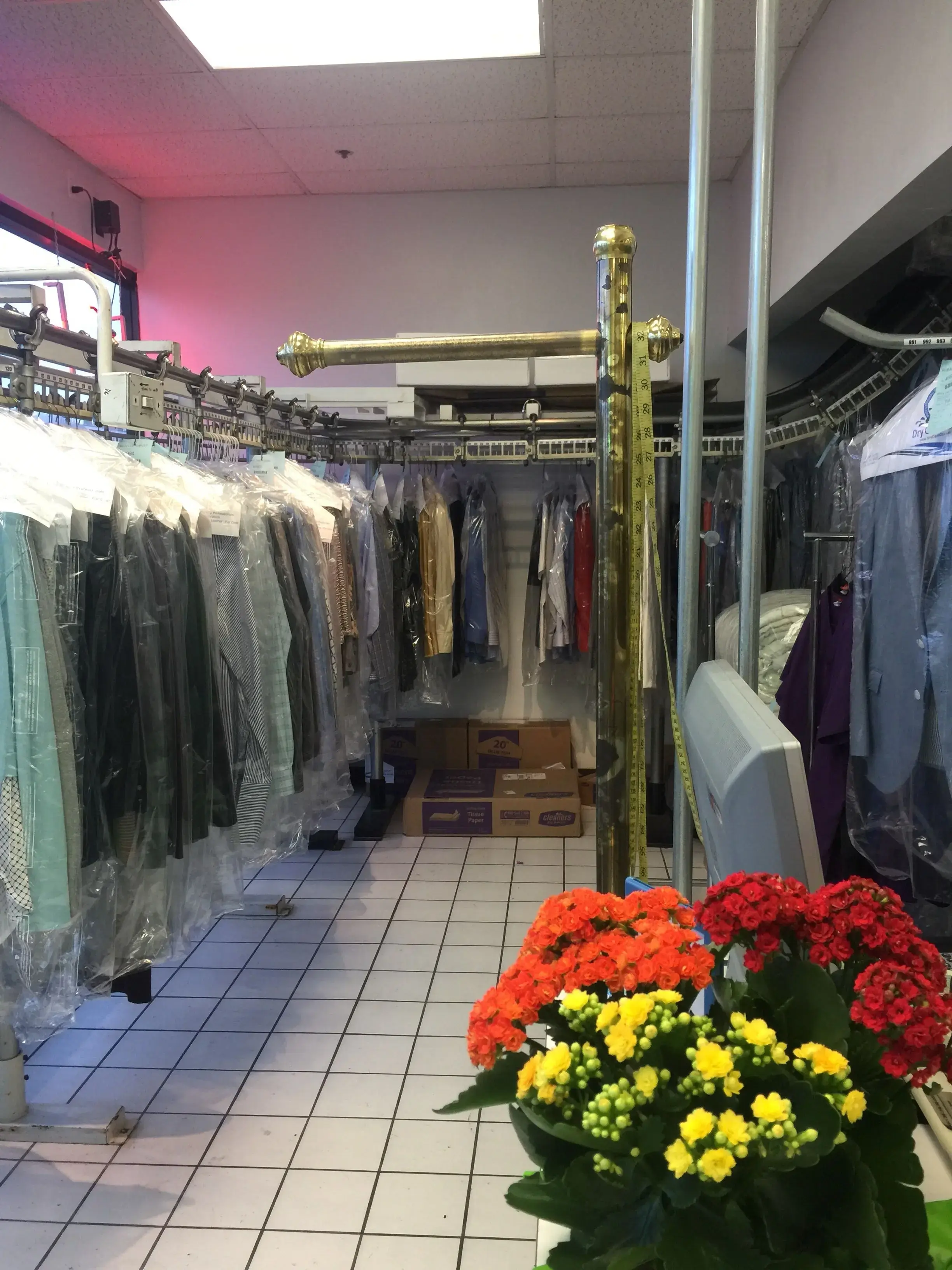 Dry Clean Dr thumbnail 14