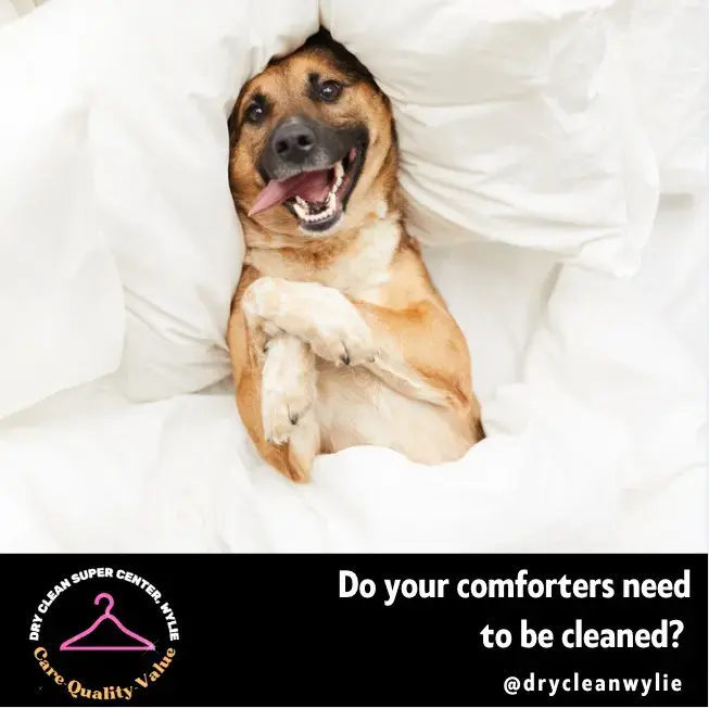 Dry Clean Supercenter-Wylie - Image 14