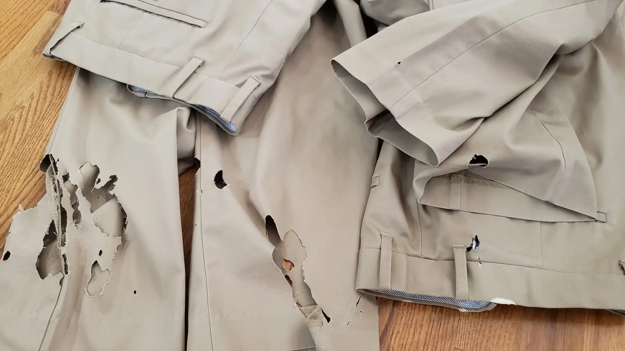 Dry Clean X-Press thumbnail 3