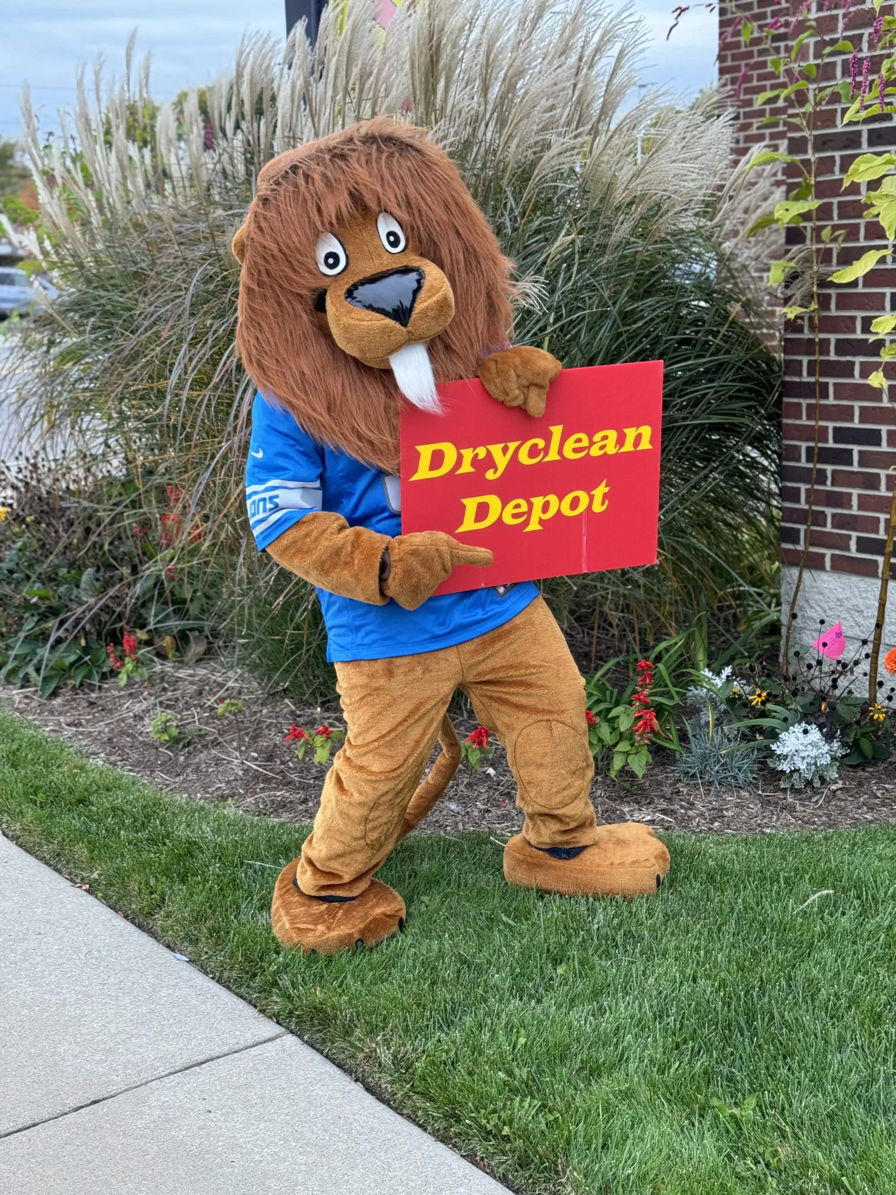 Dryclean Depot thumbnail 16