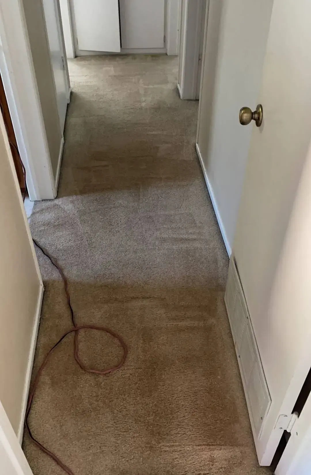 Dryeco Green Dry Cleaners, Dry Cleaners Miami, Dry Cleaning Delivery, Organic Dry Cleaning - Image 11