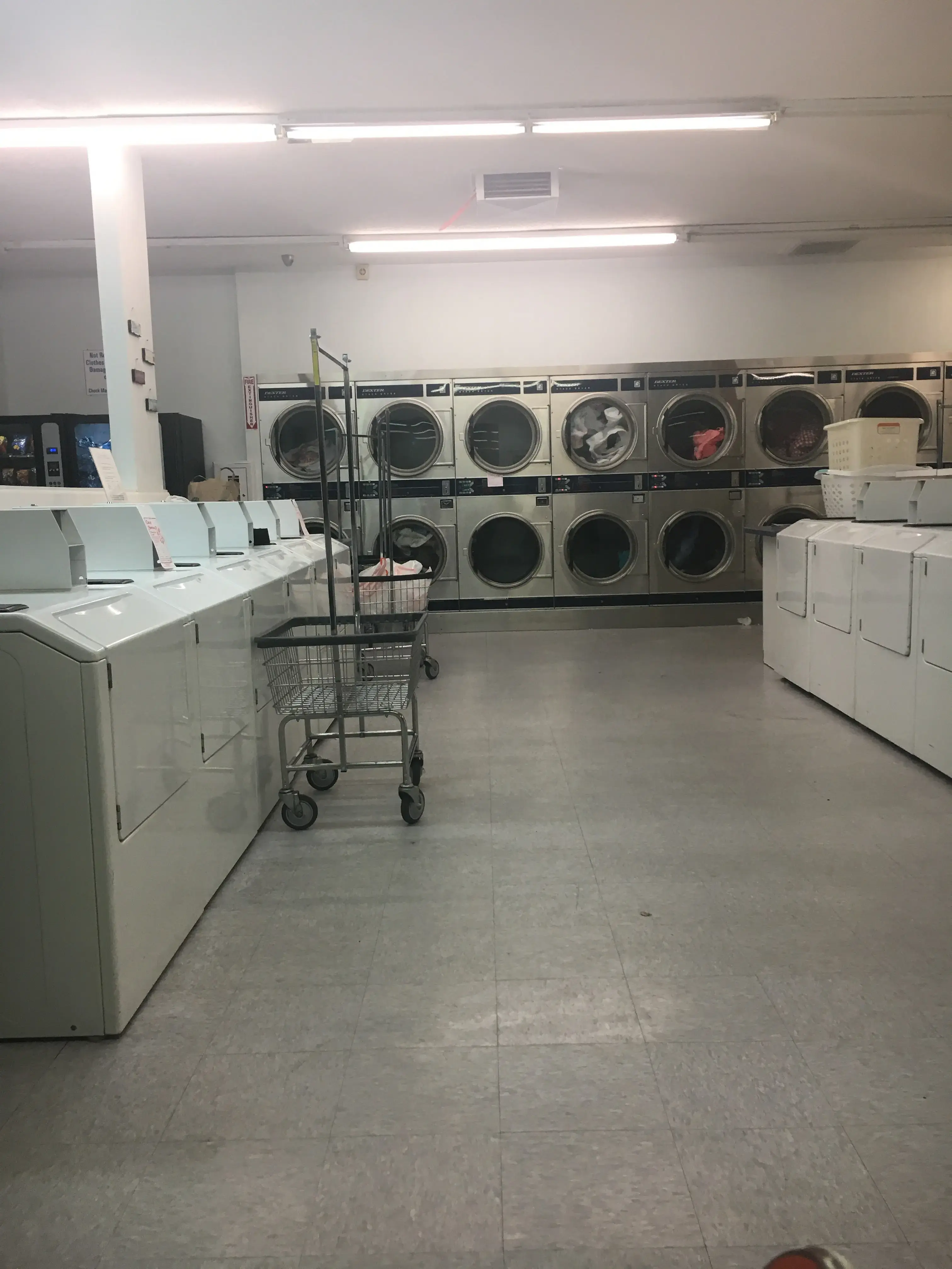 Ducky Wash Laundromat - Image 19