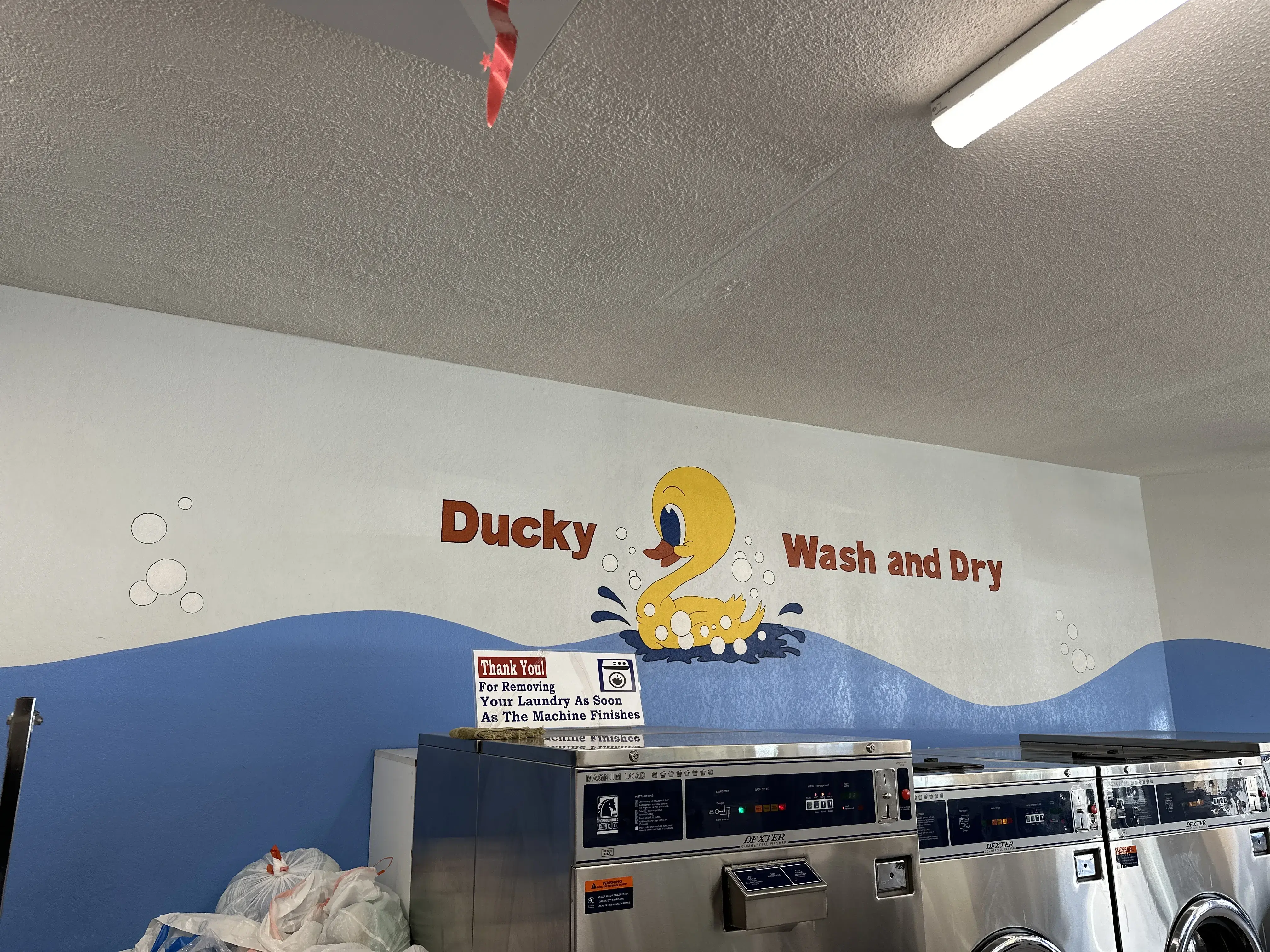 Ducky Wash Laundromat thumbnail 6