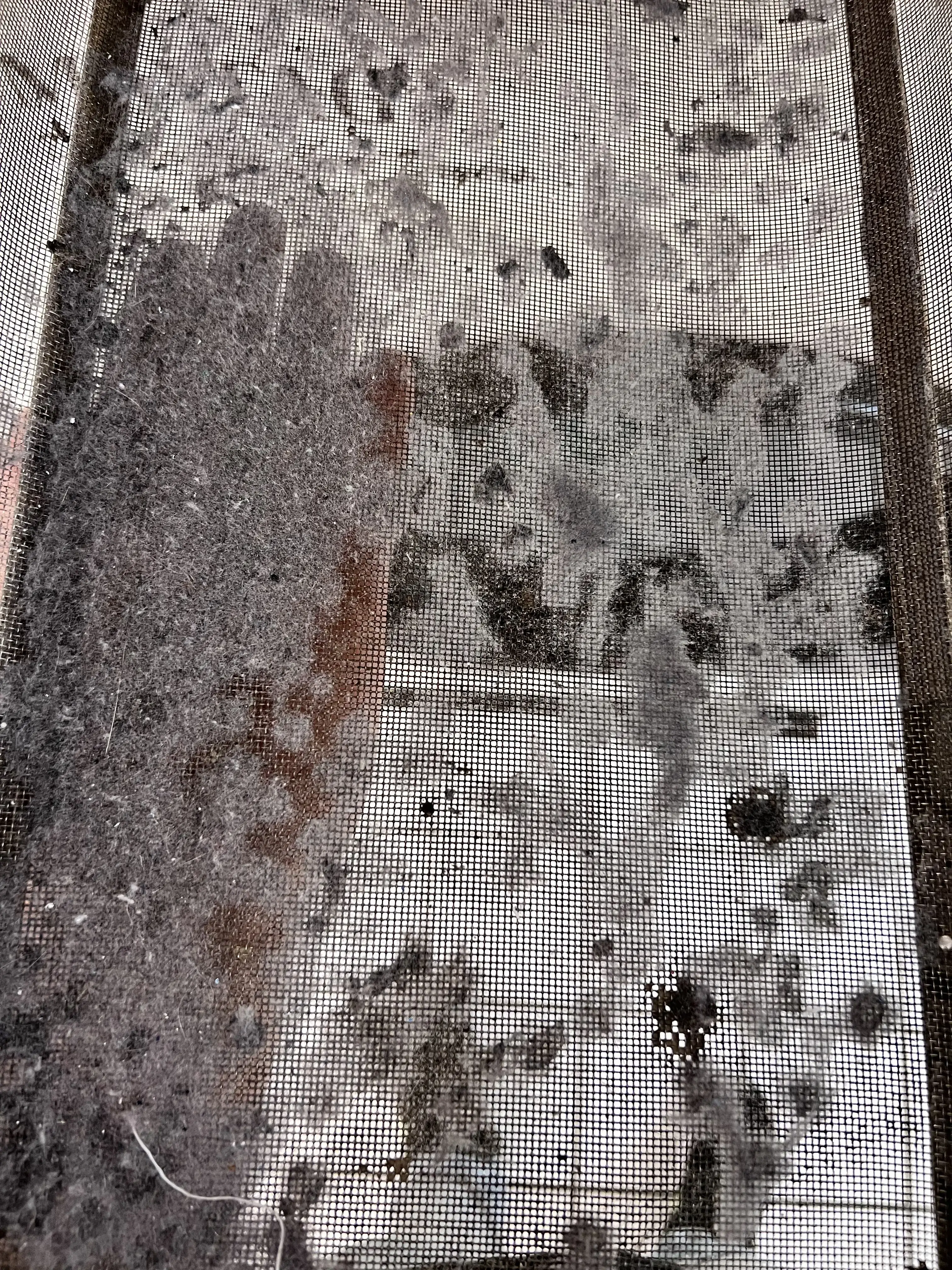 Dukes Laundromat thumbnail 17