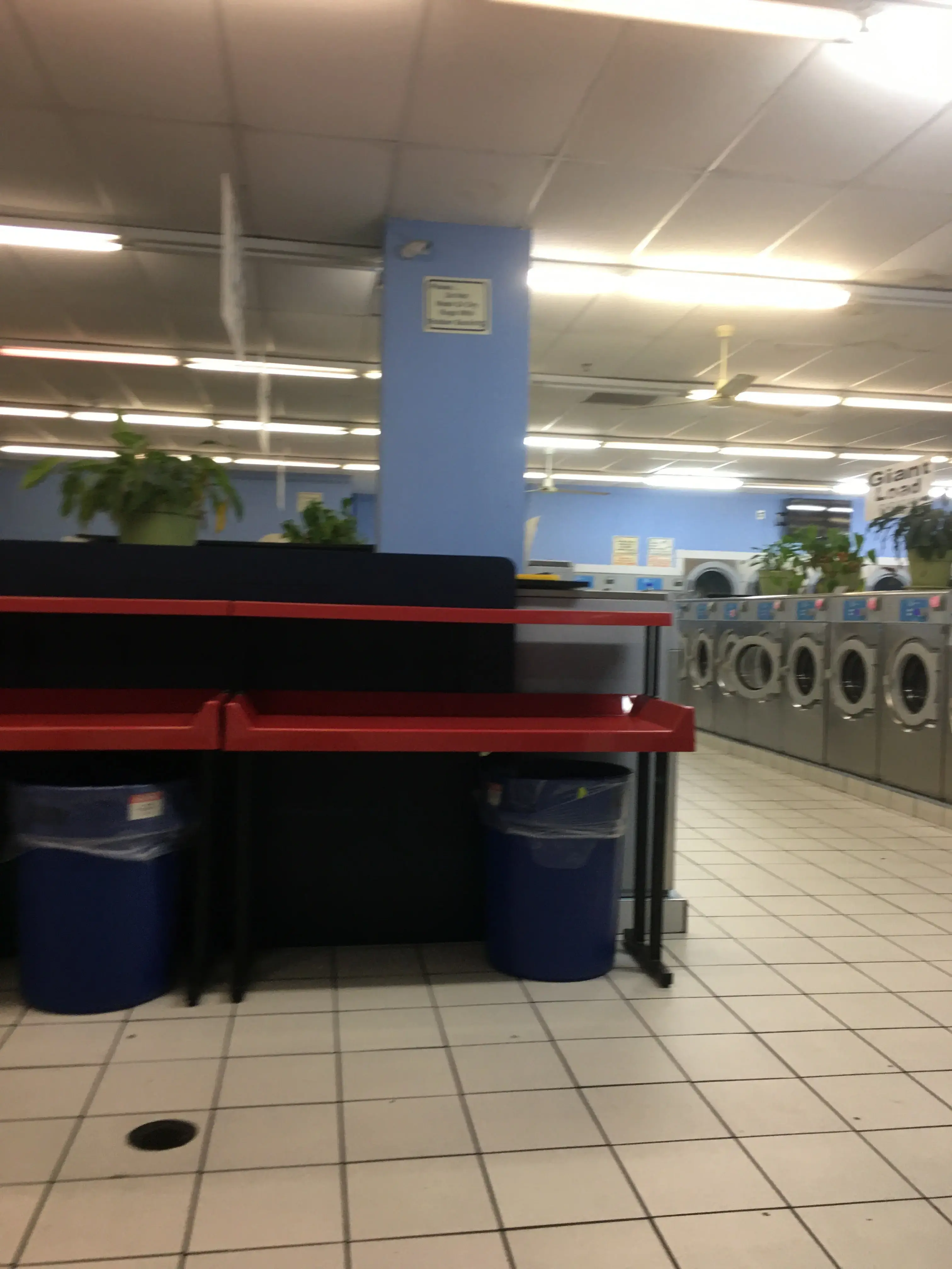 Dumfries Card Laundromat thumbnail 14