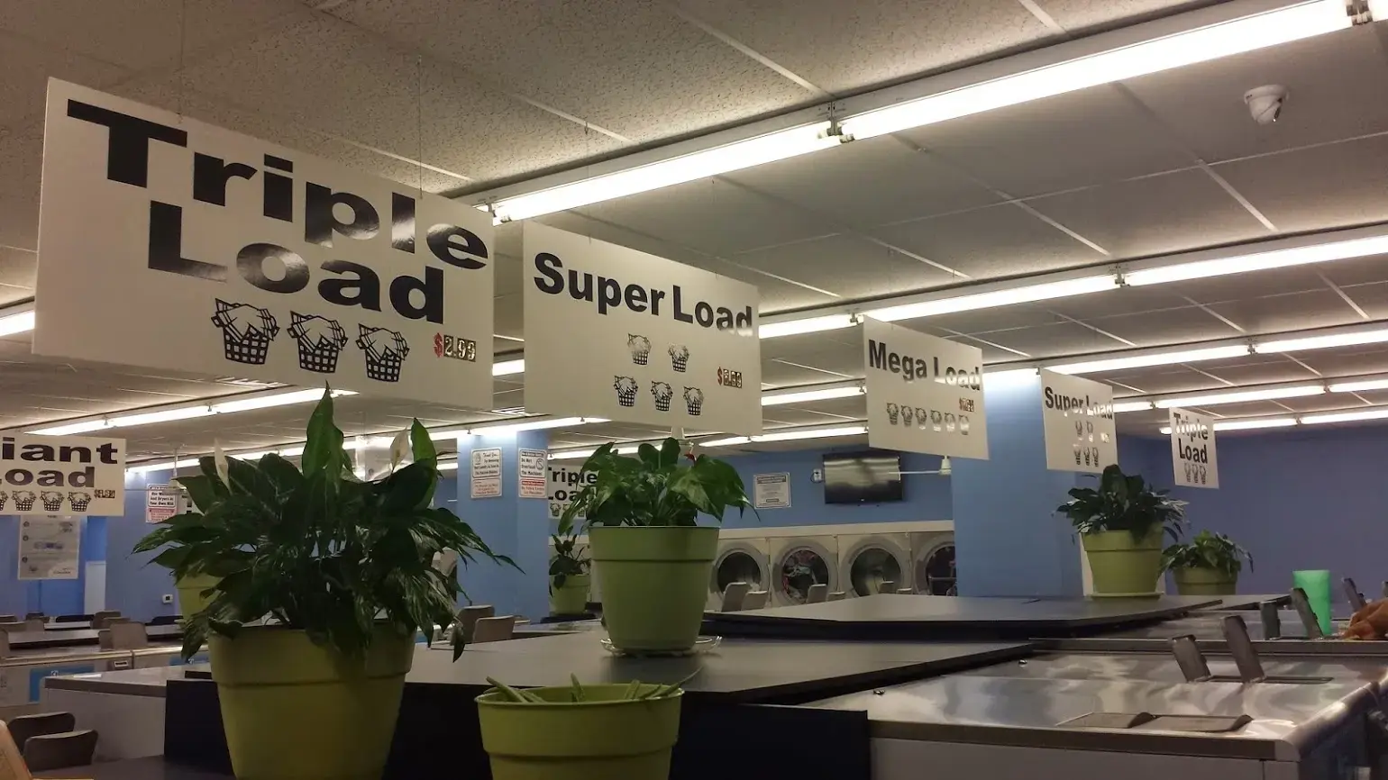Dumfries Card Laundromat thumbnail 9