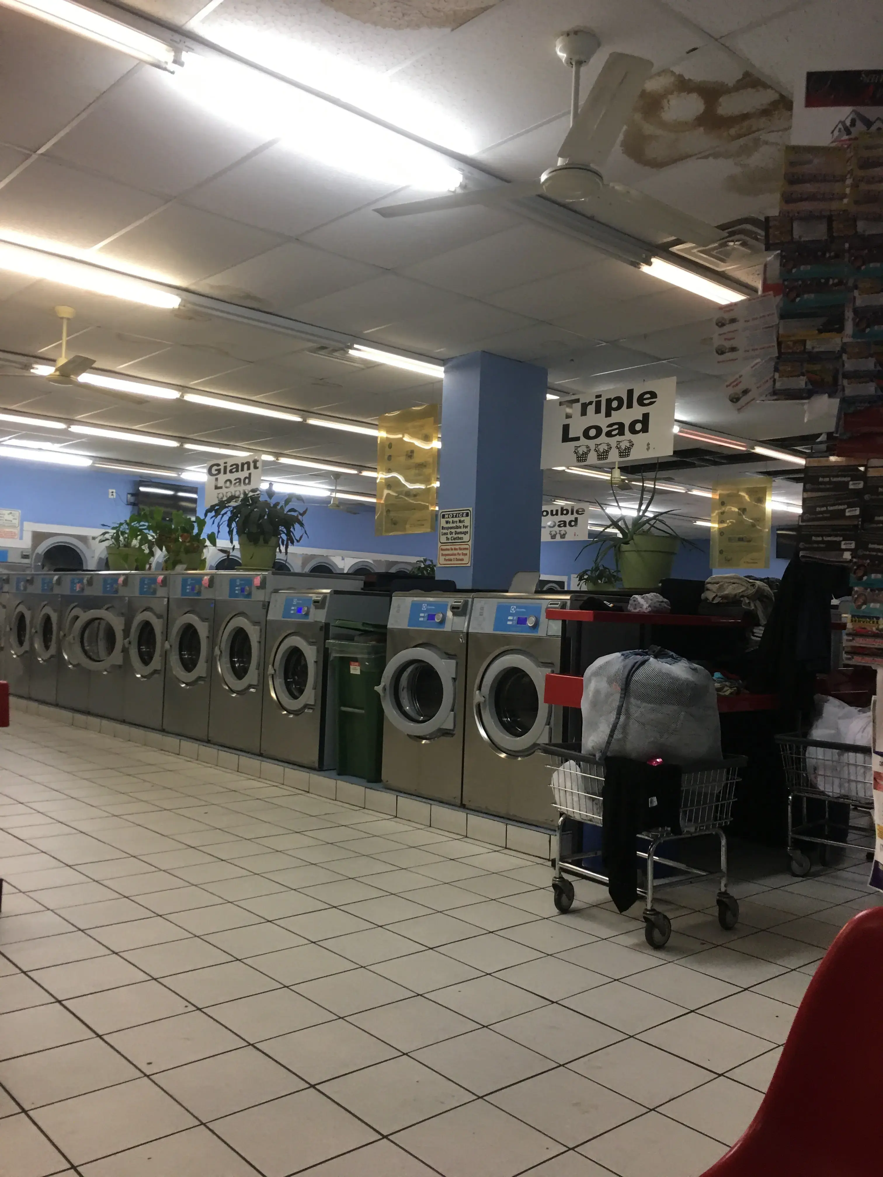 Dumfries Card Laundromat - Image 15