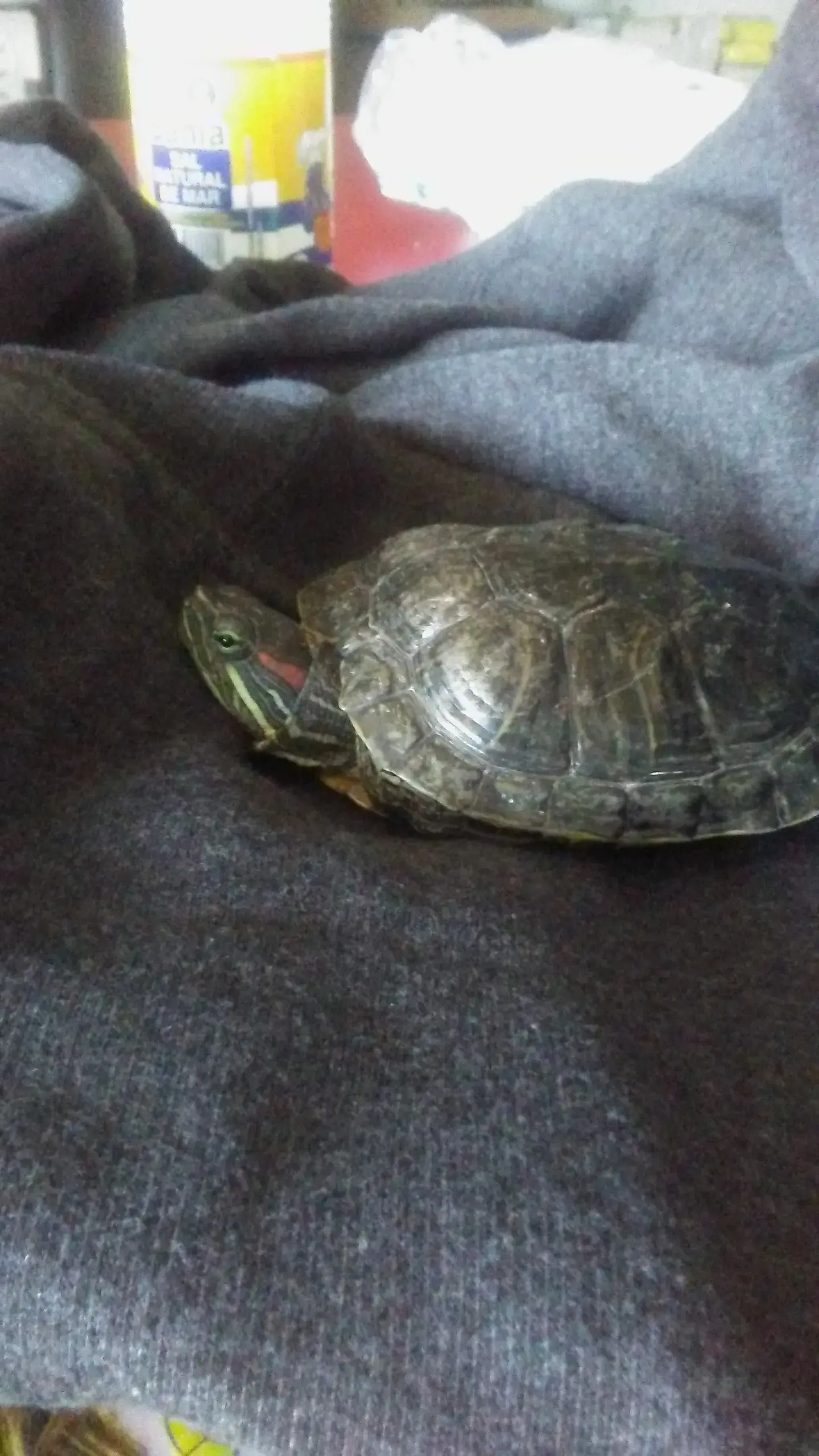 Dynasty Cleaners - Image 2