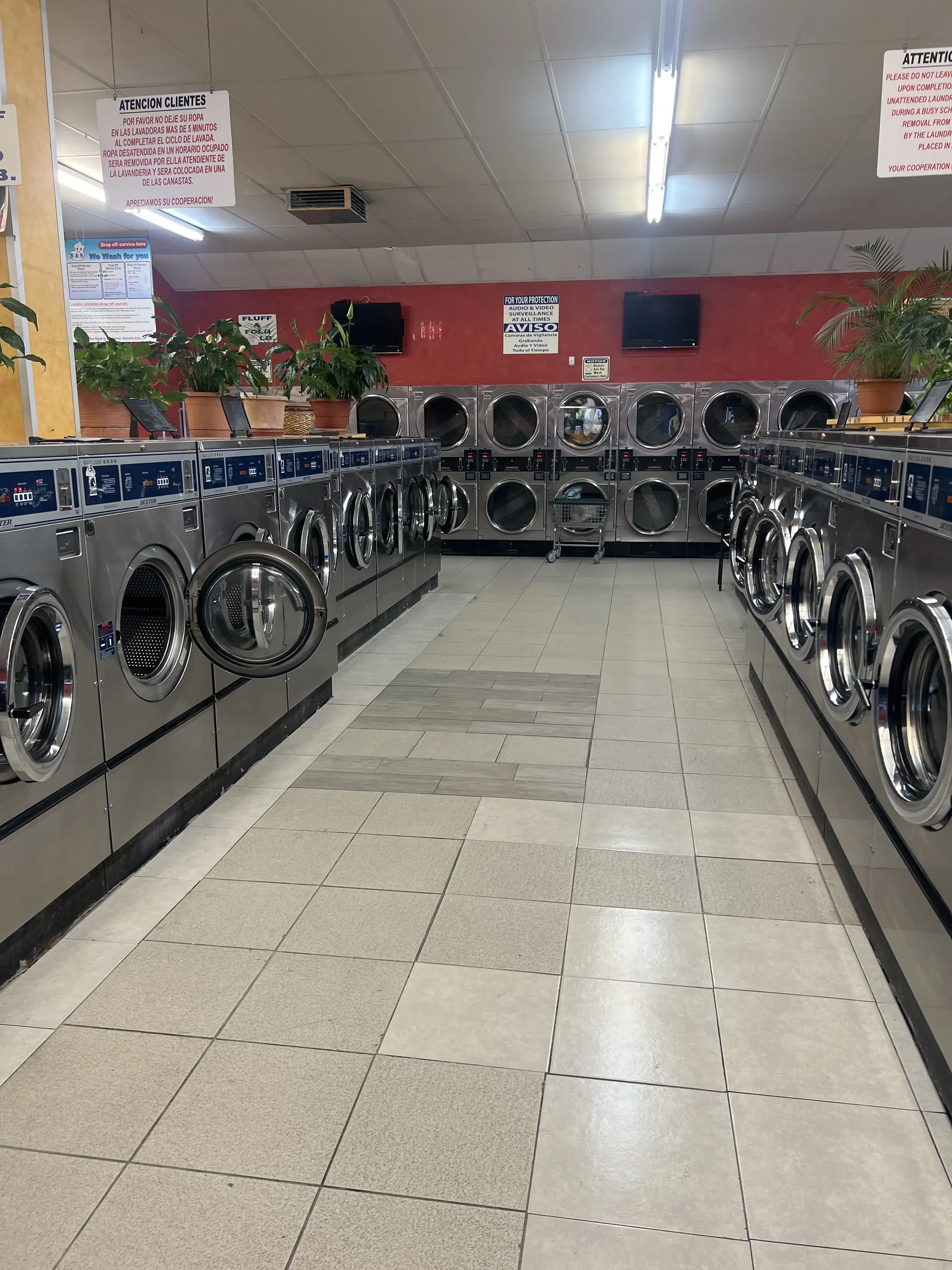 DZLaundry - Bright and Shine - Image 20