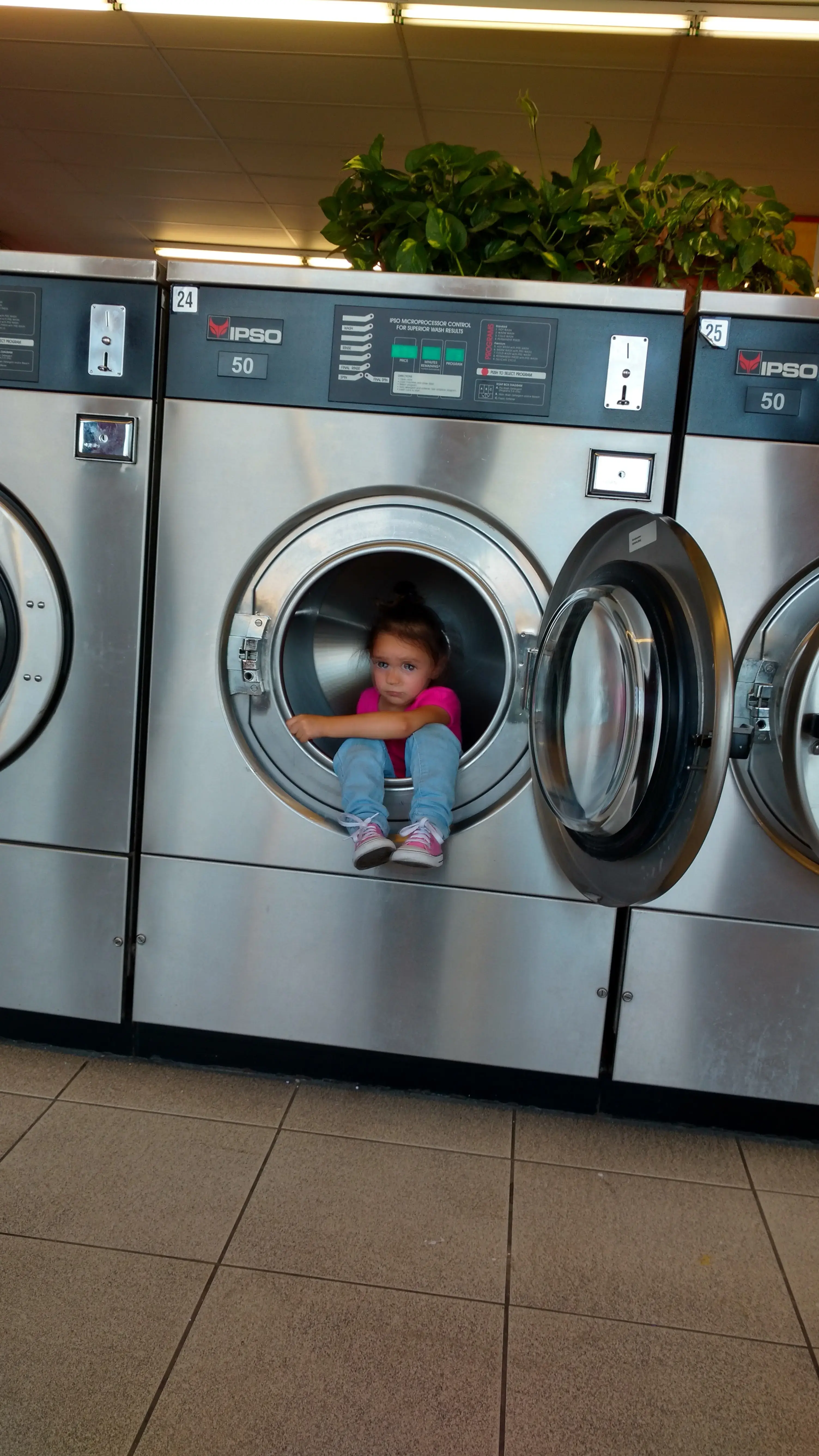 DZLaundry - Bright and Shine - Image 16