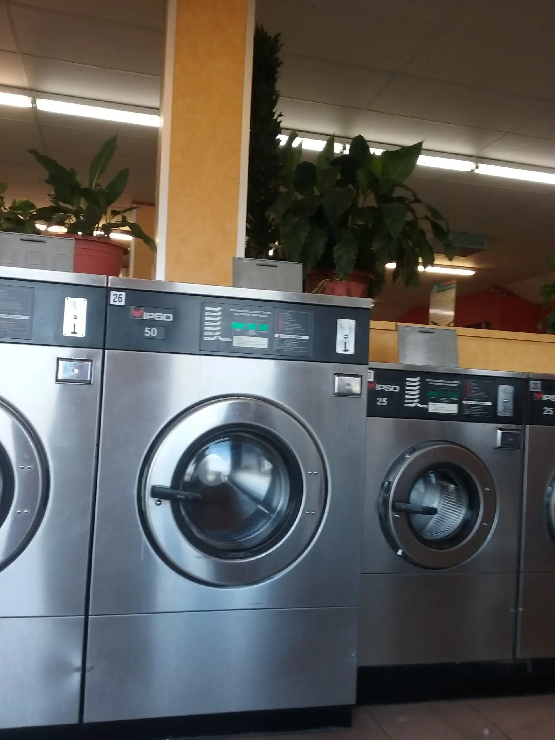 DZLaundry - Bright and Shine - Image 17
