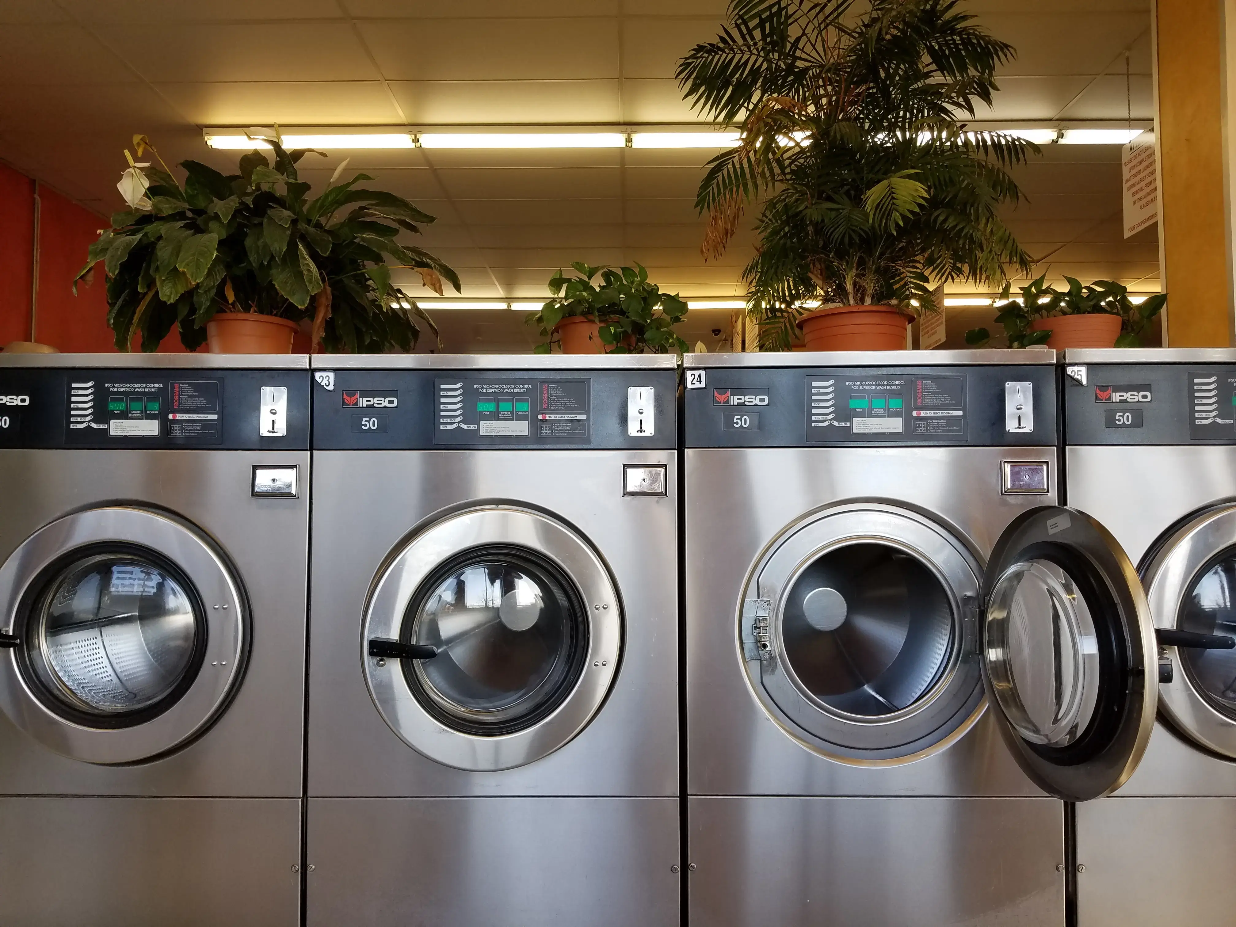 DZLaundry - Bright and Shine - Image 3
