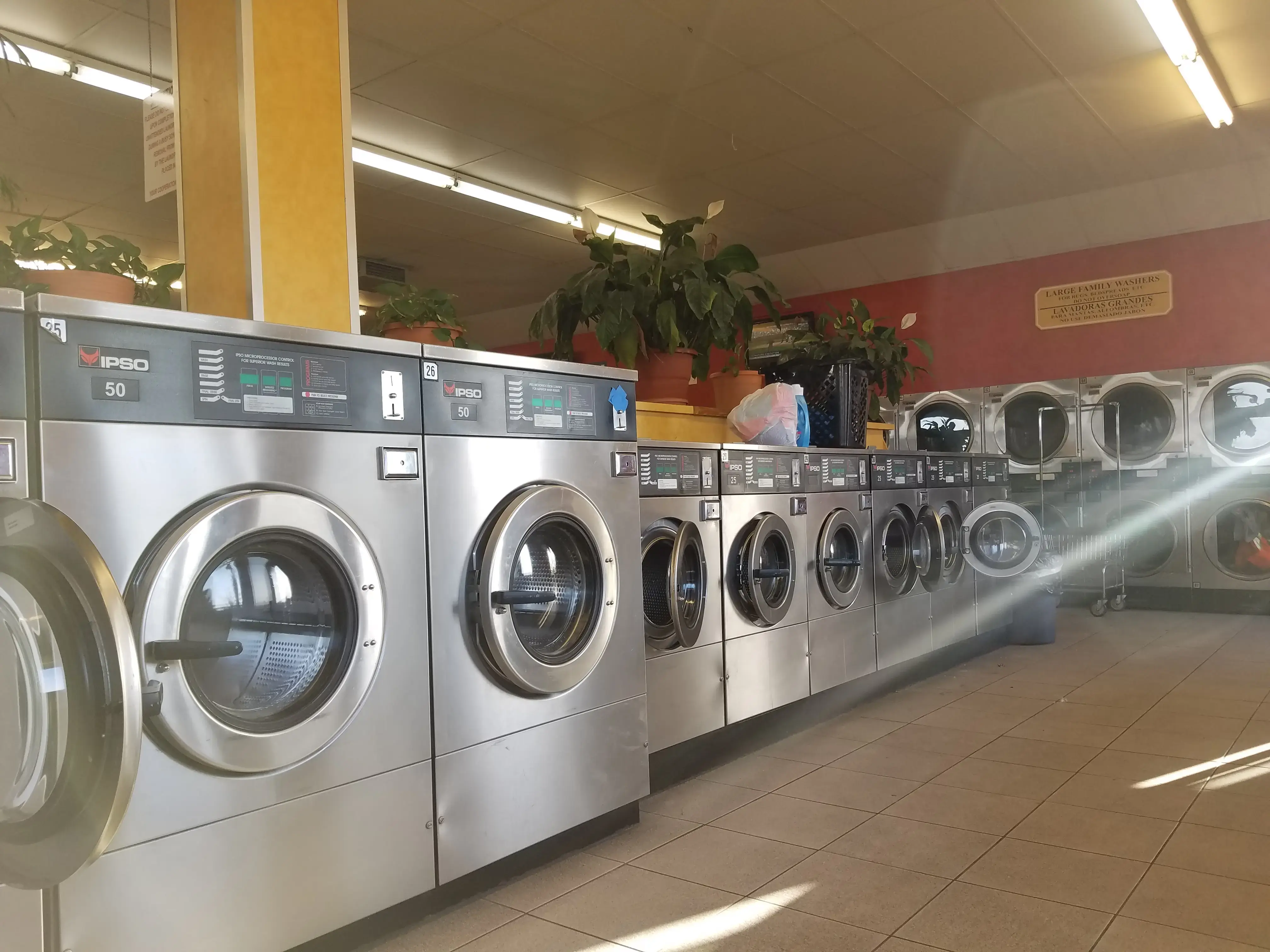 DZLaundry - Bright and Shine - Image 15