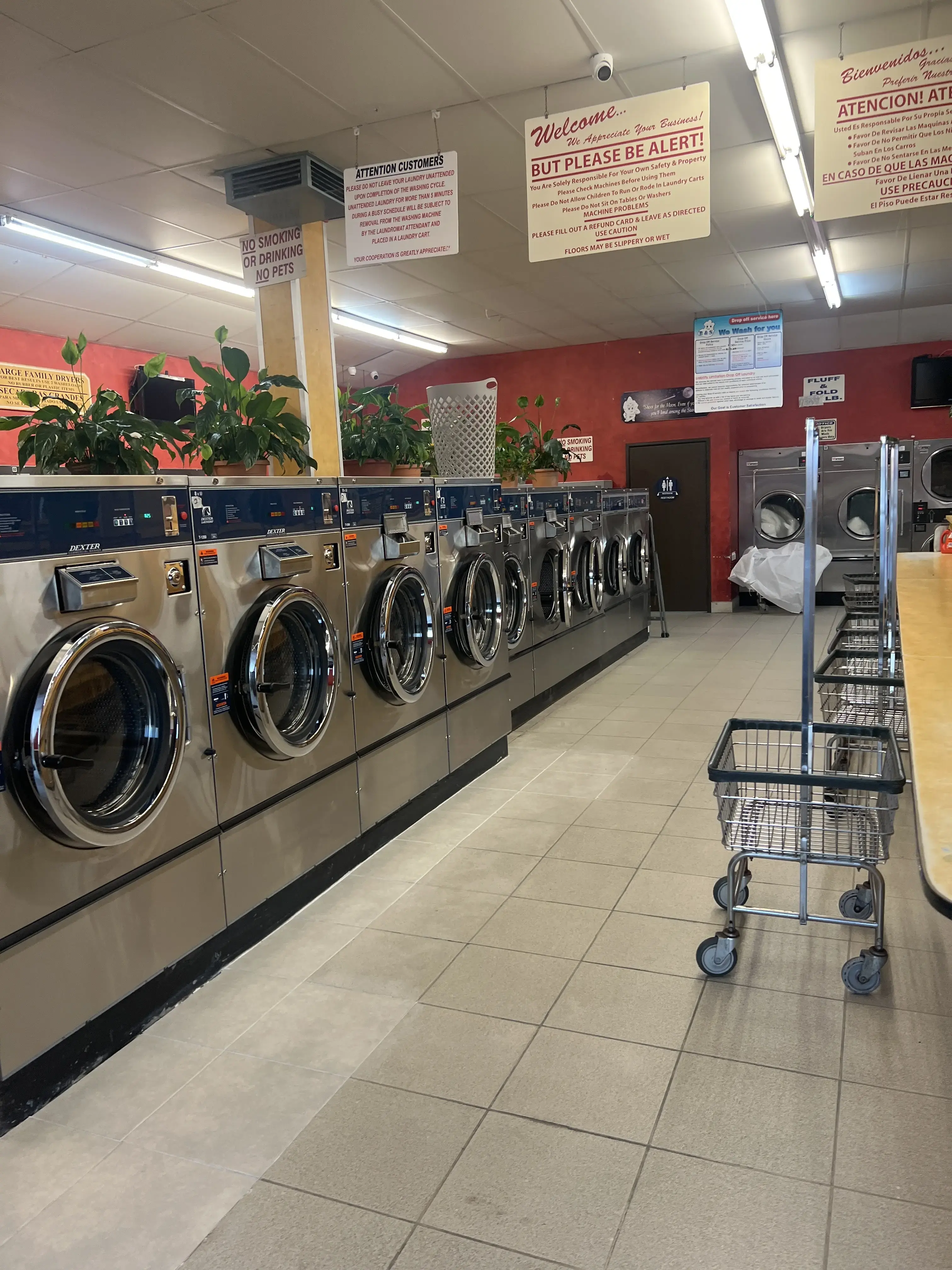 DZLaundry - Bright and Shine - Image 1