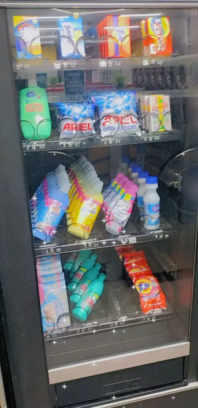 DZLaundry - Coin Laundry - Image 12