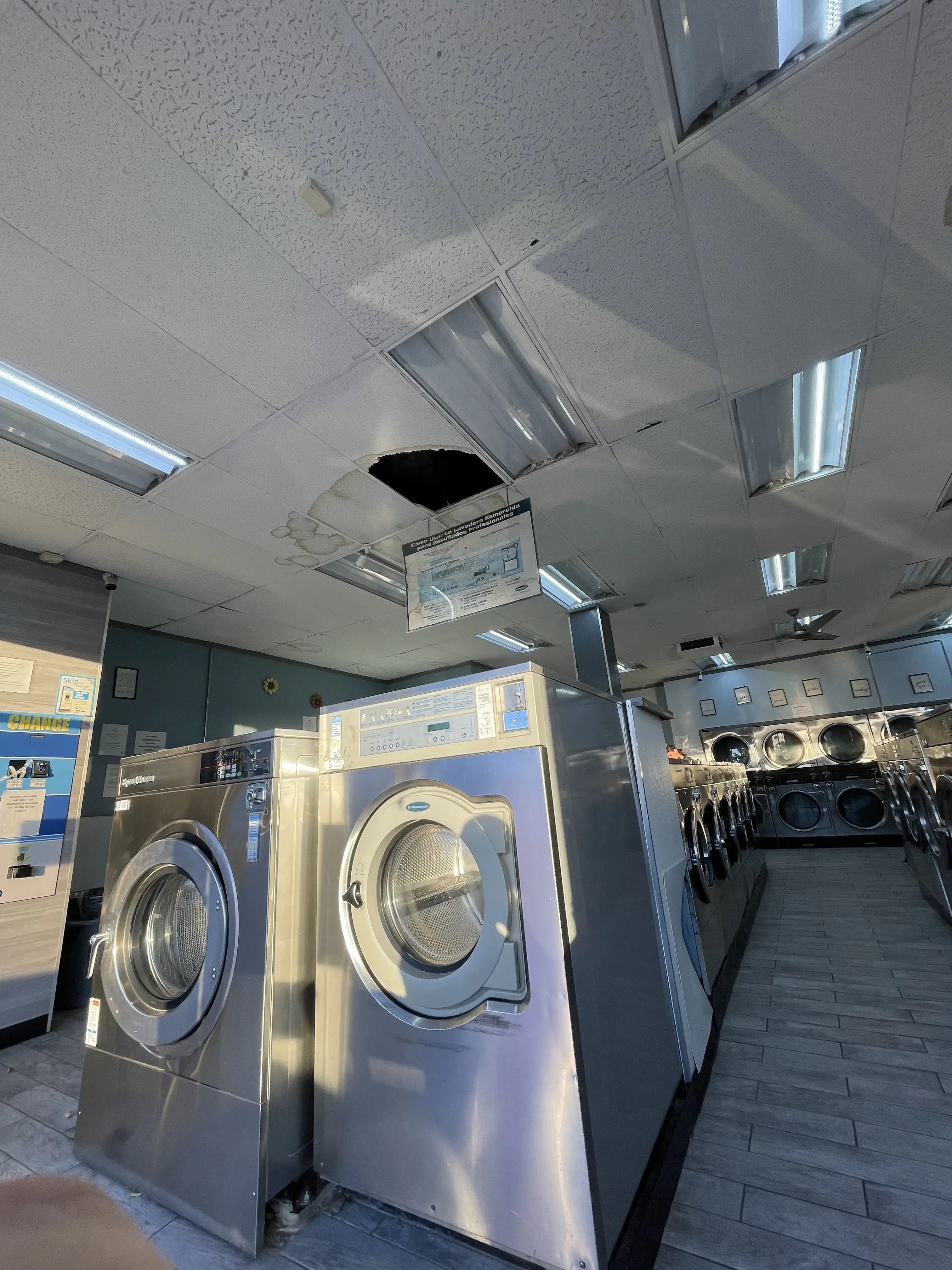 DZLaundry - Coin Laundry - Image 16