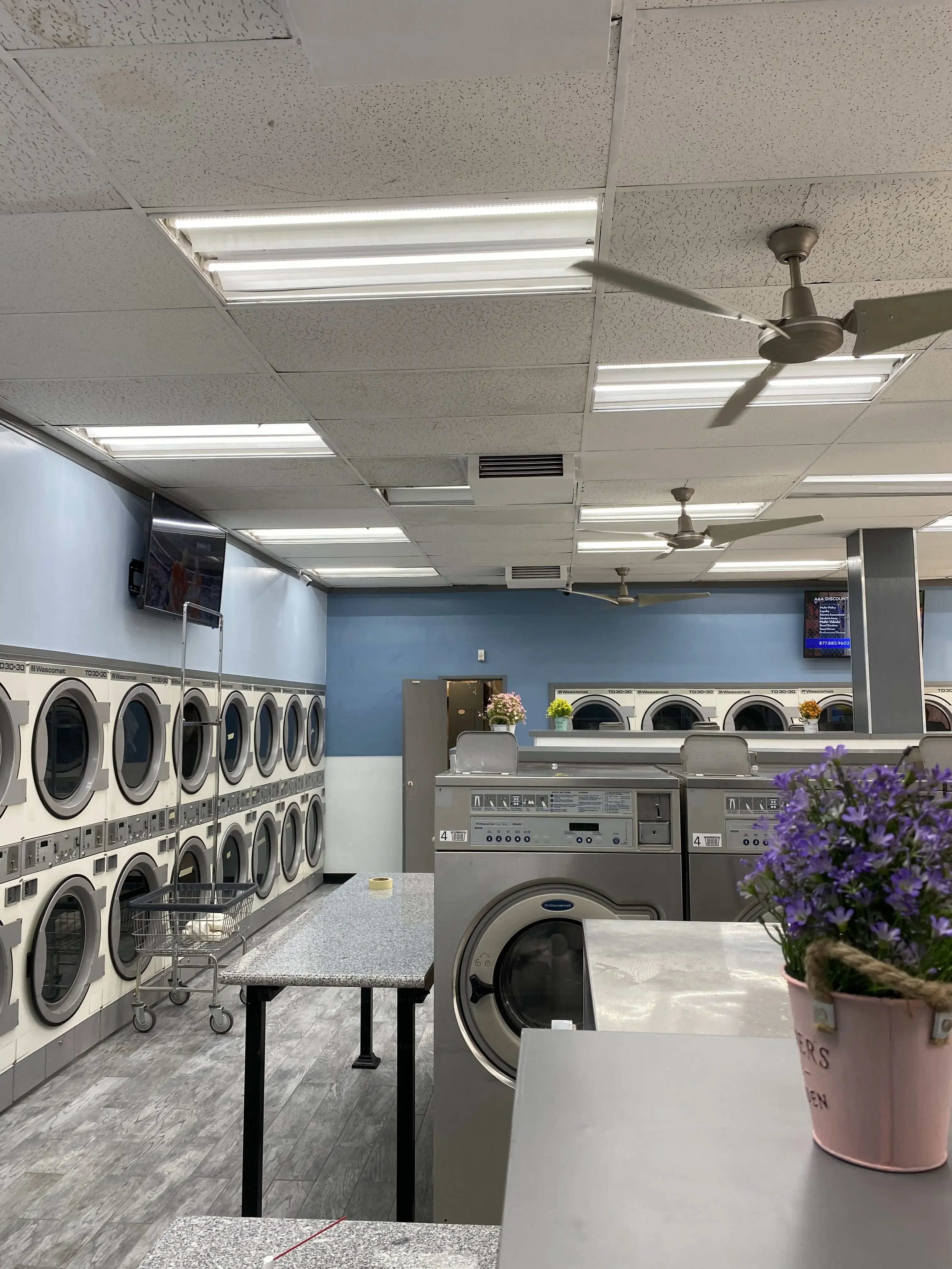 DZLaundry - Coin Laundry - Image 20