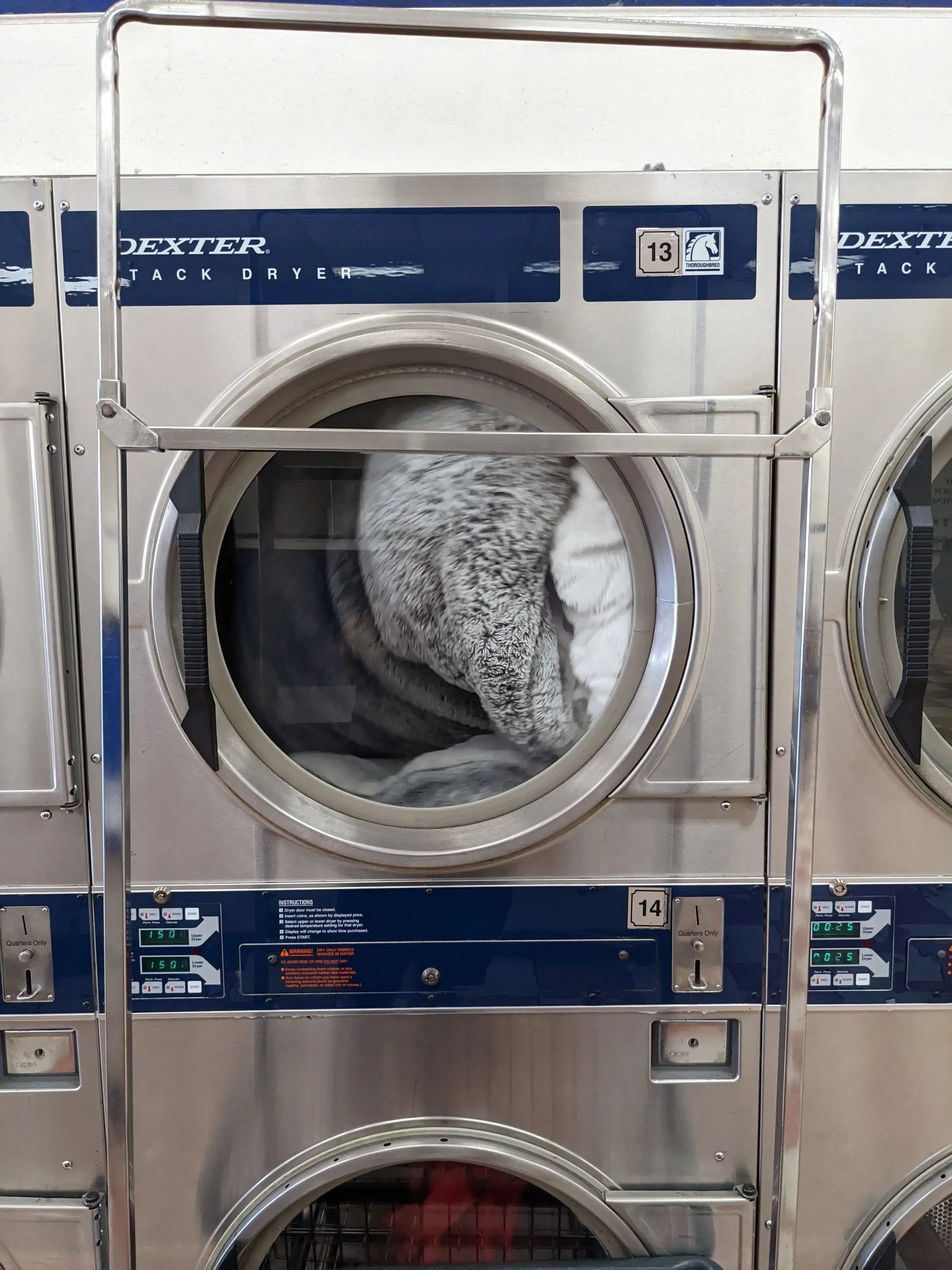 Dzlaundry - Coin Wash Plus thumbnail 16