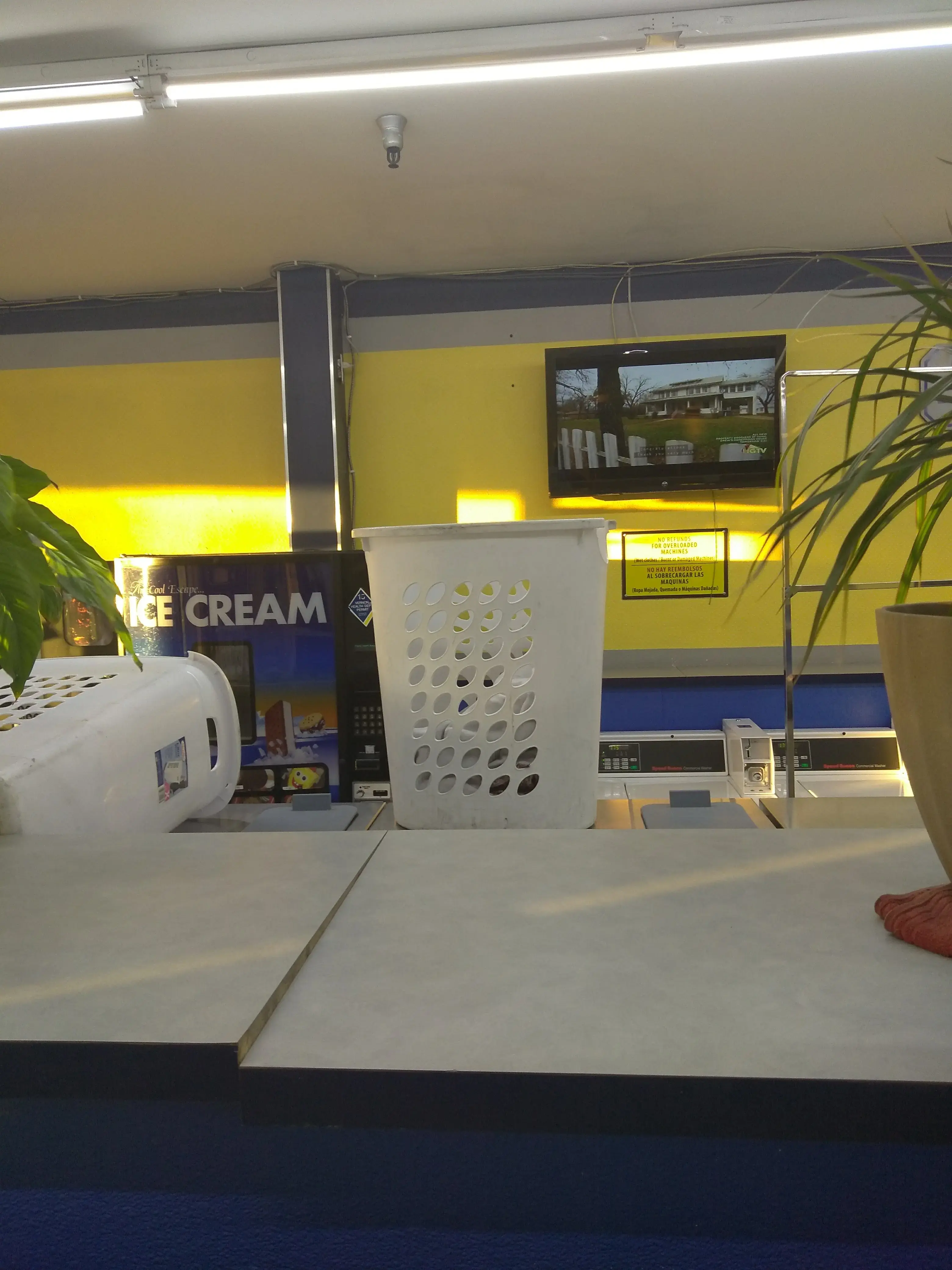 DZLaundry - Coin Wash - Image 11