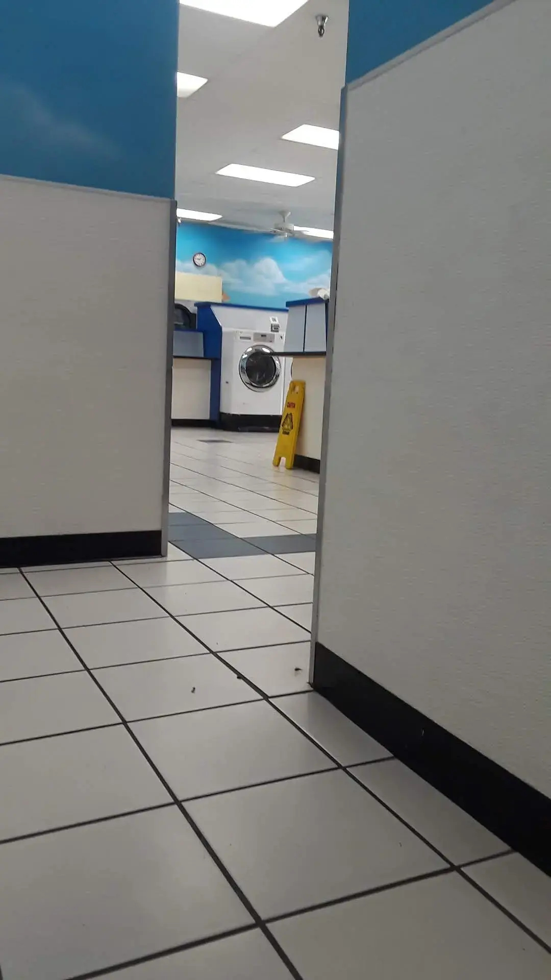 DZLaundry - Speed Wash - Image 4