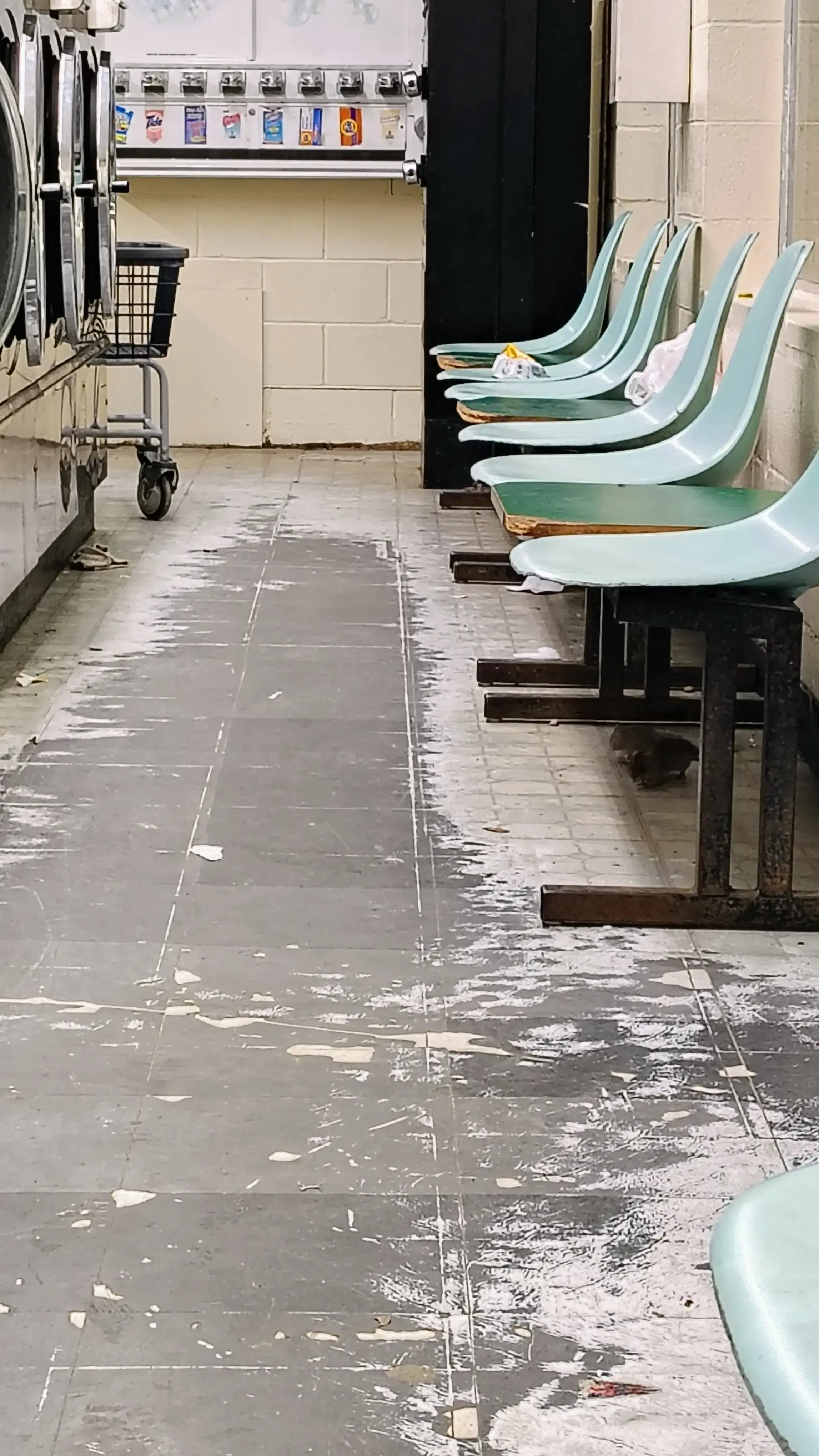 E-Z Wash thumbnail 11