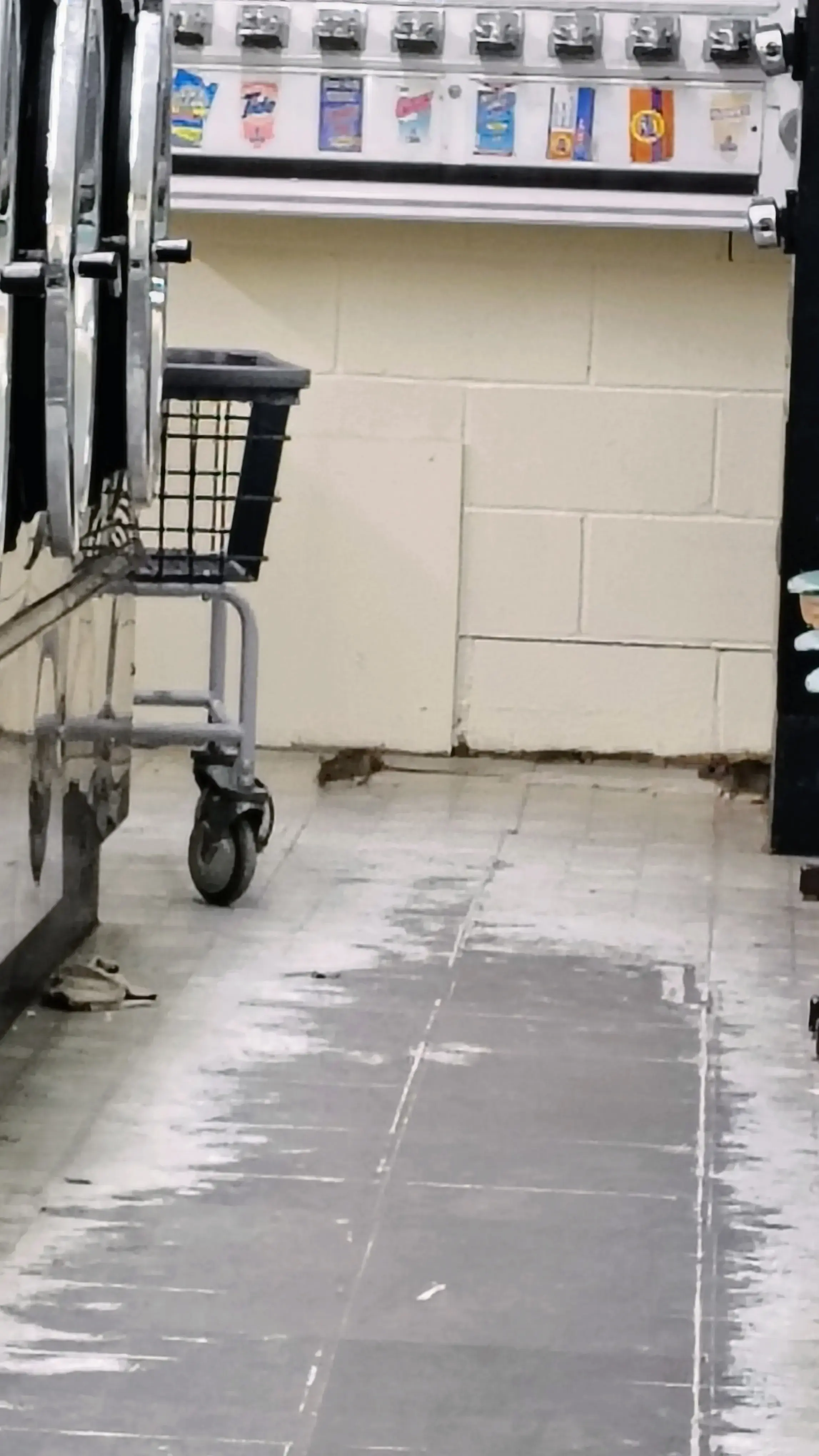 E-Z Wash thumbnail 8