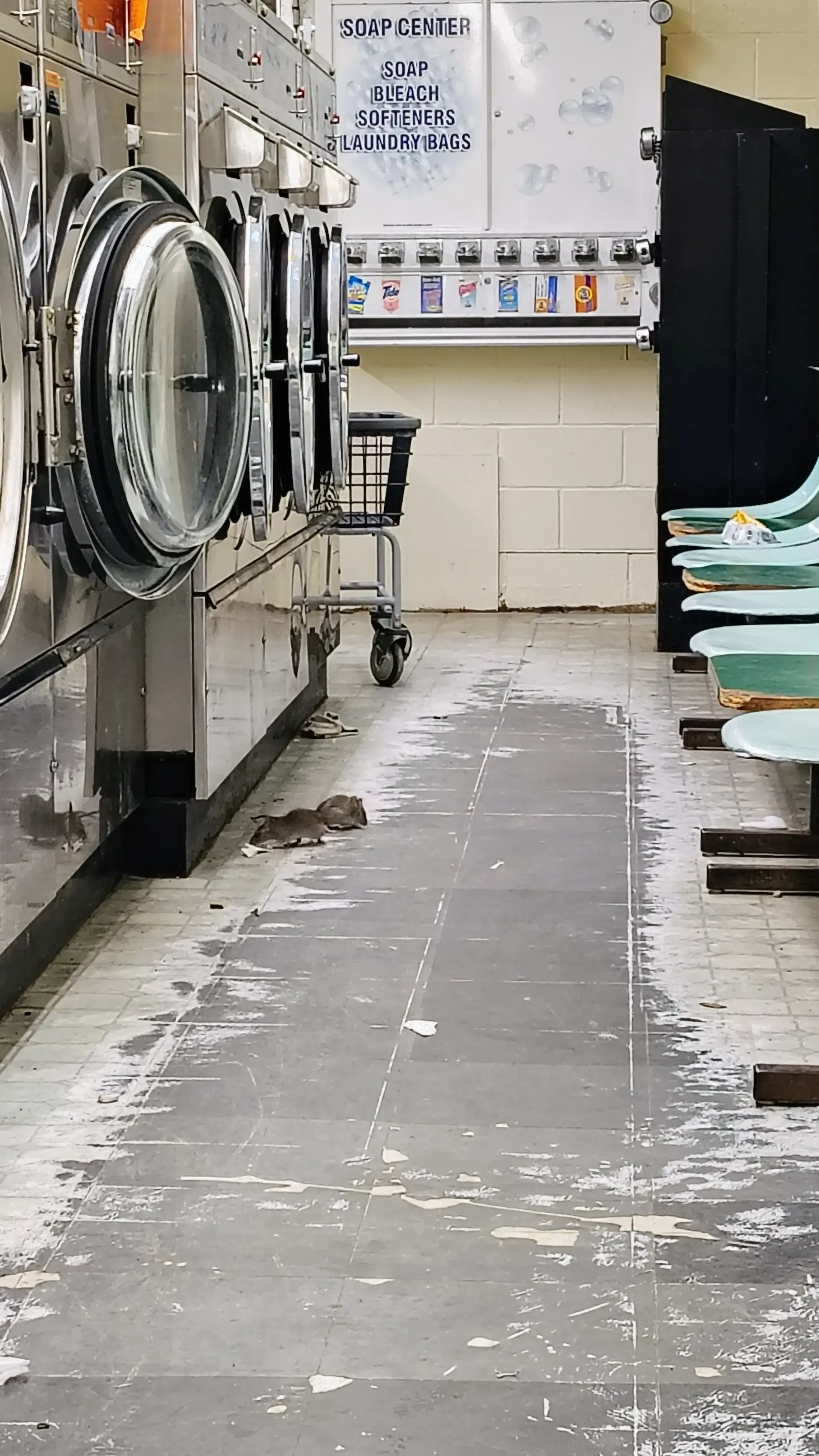 E-Z Wash thumbnail 2