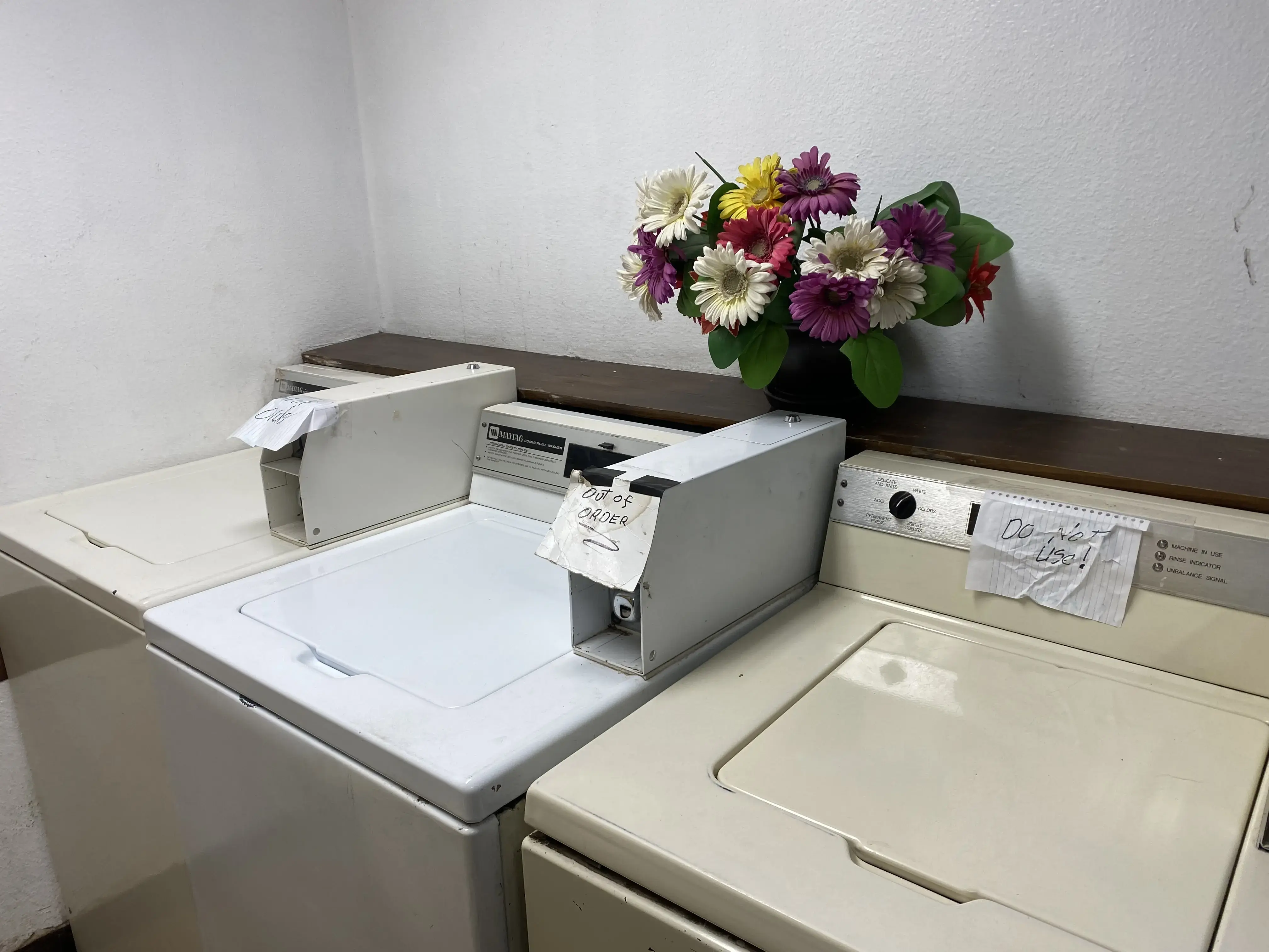 Earl's Laundry & Dry Cleaning thumbnail 5