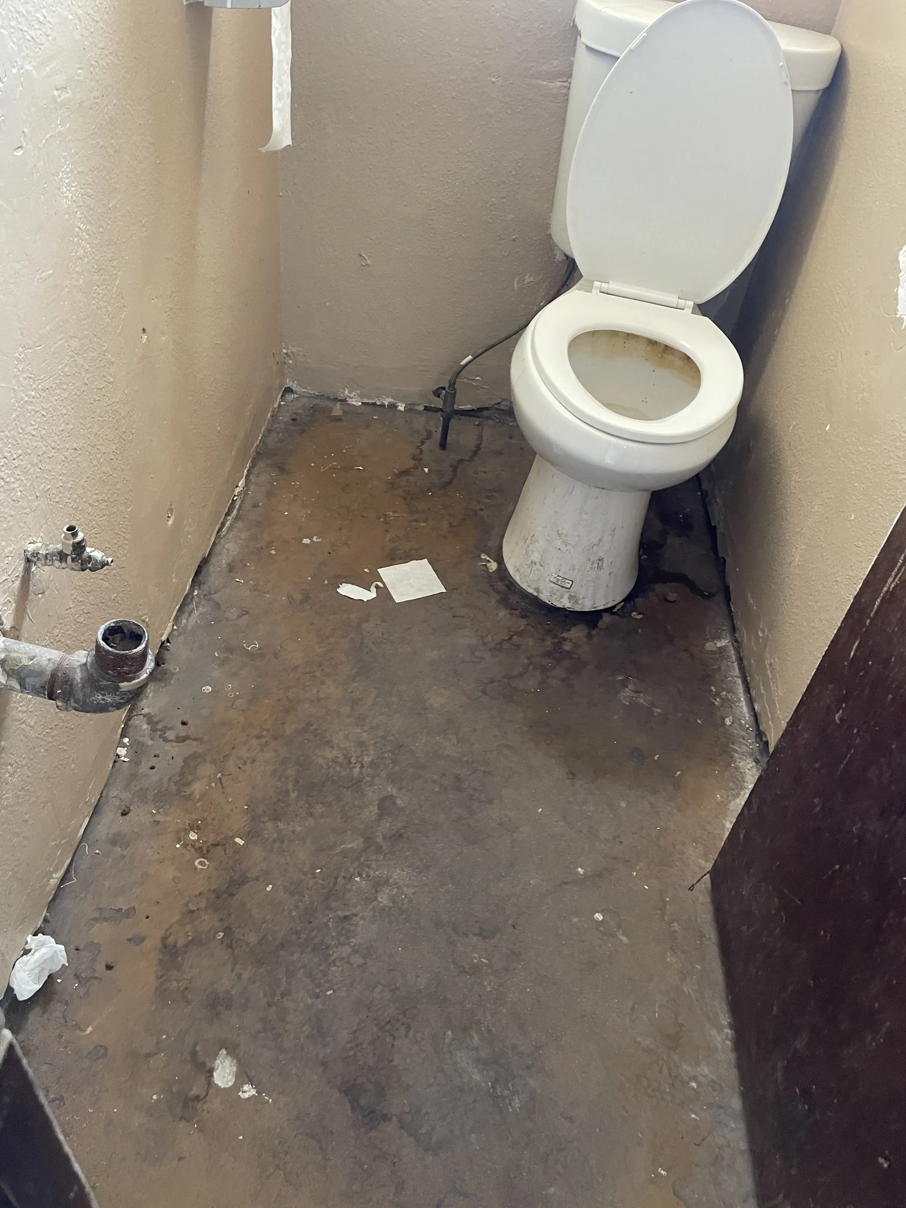 Earl's Laundry & Dry Cleaning thumbnail 13