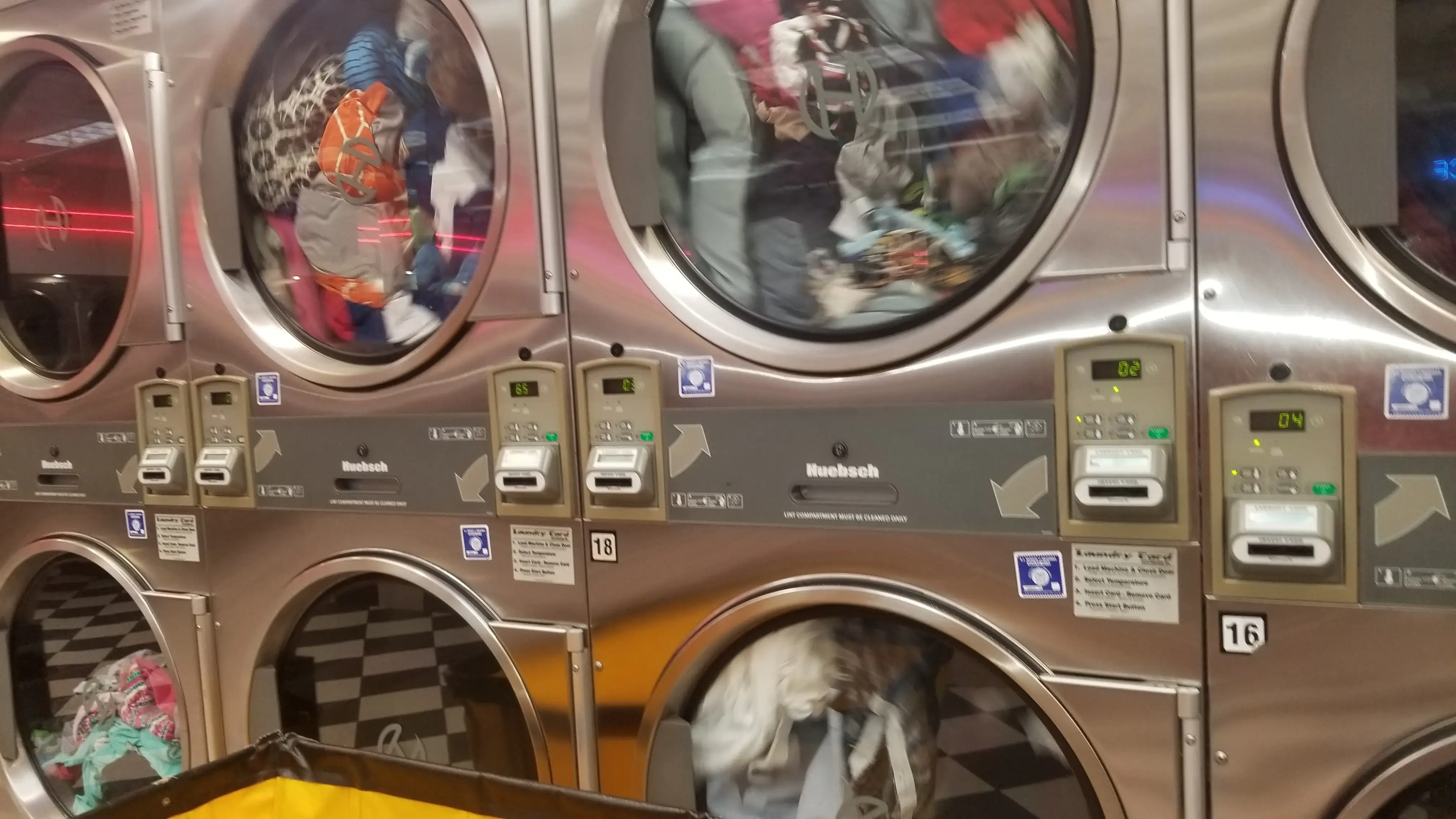 Earlybird Laundromat thumbnail 12