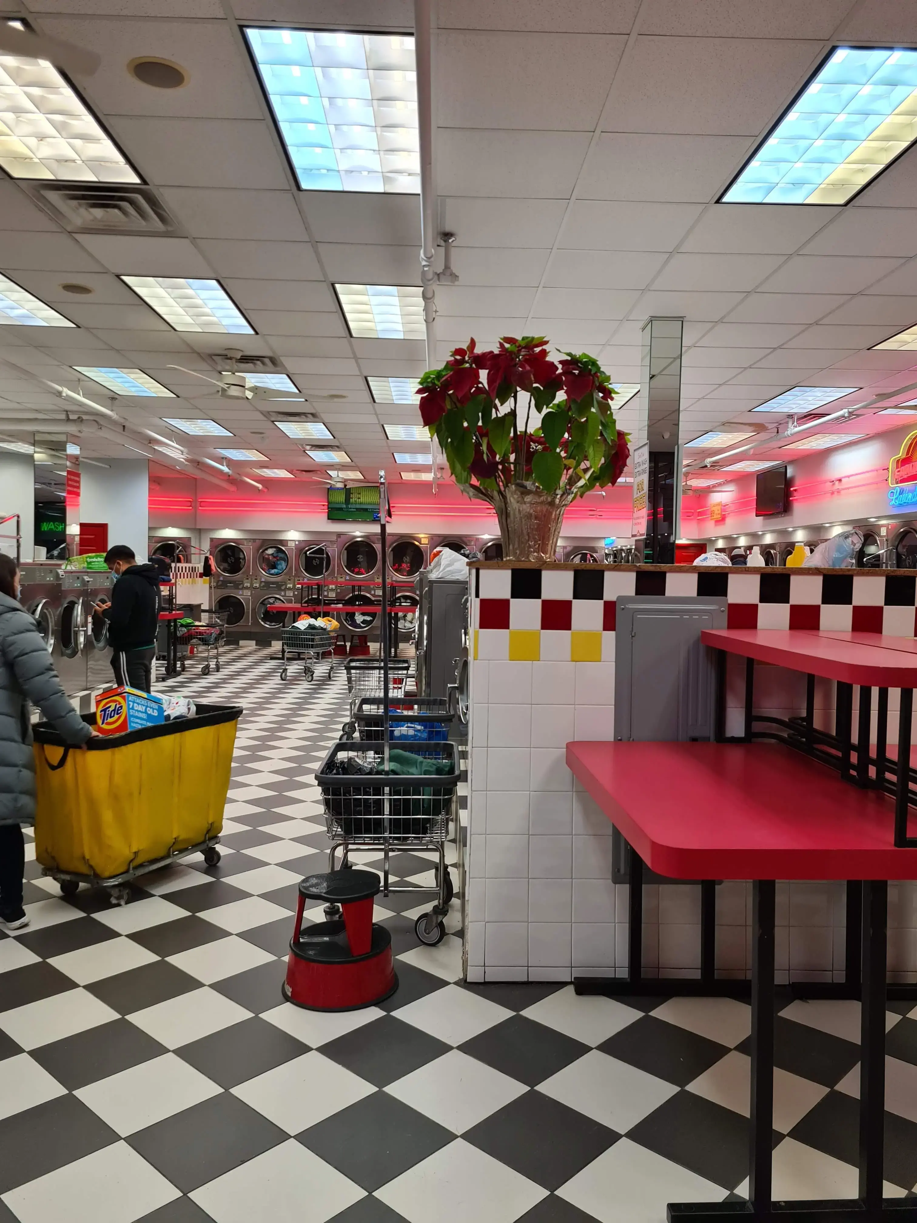 Earlybird Laundromat - Image 2