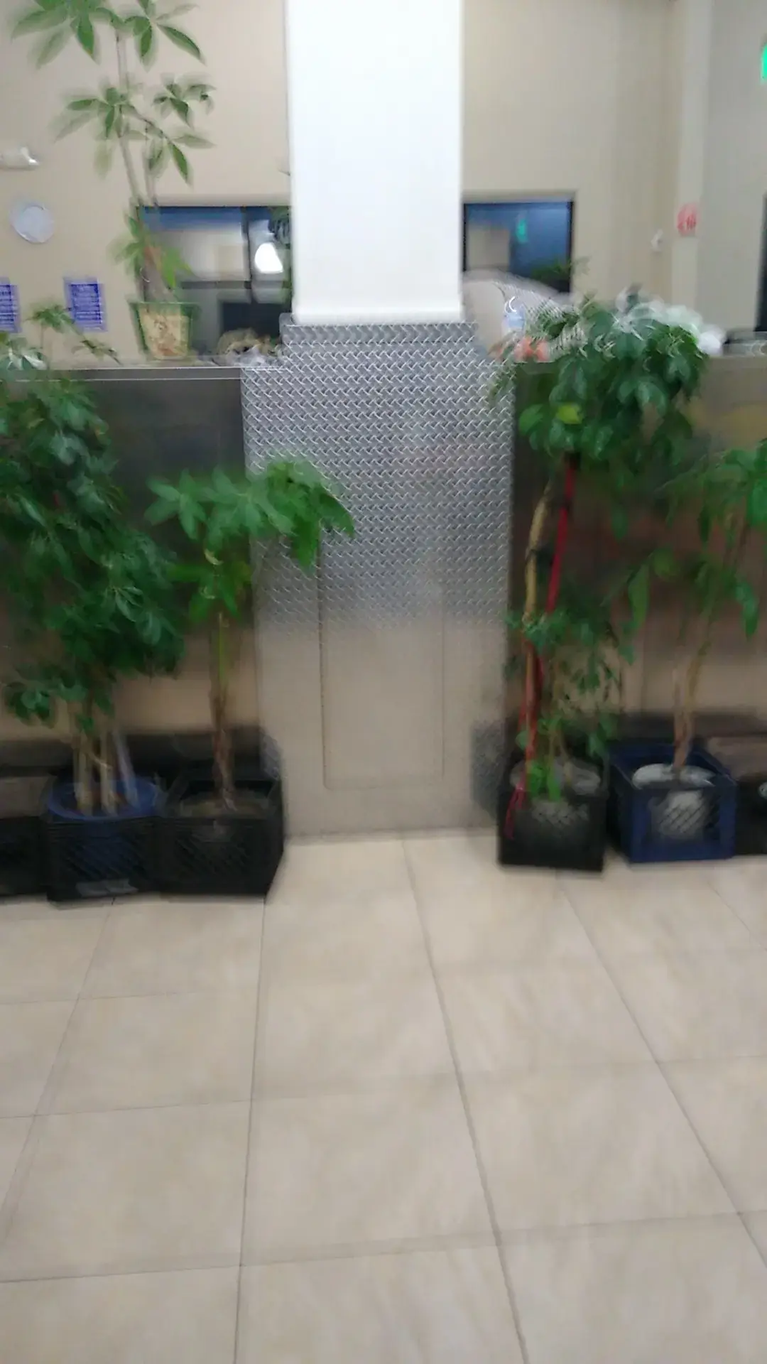 East Bay Laundry thumbnail 18