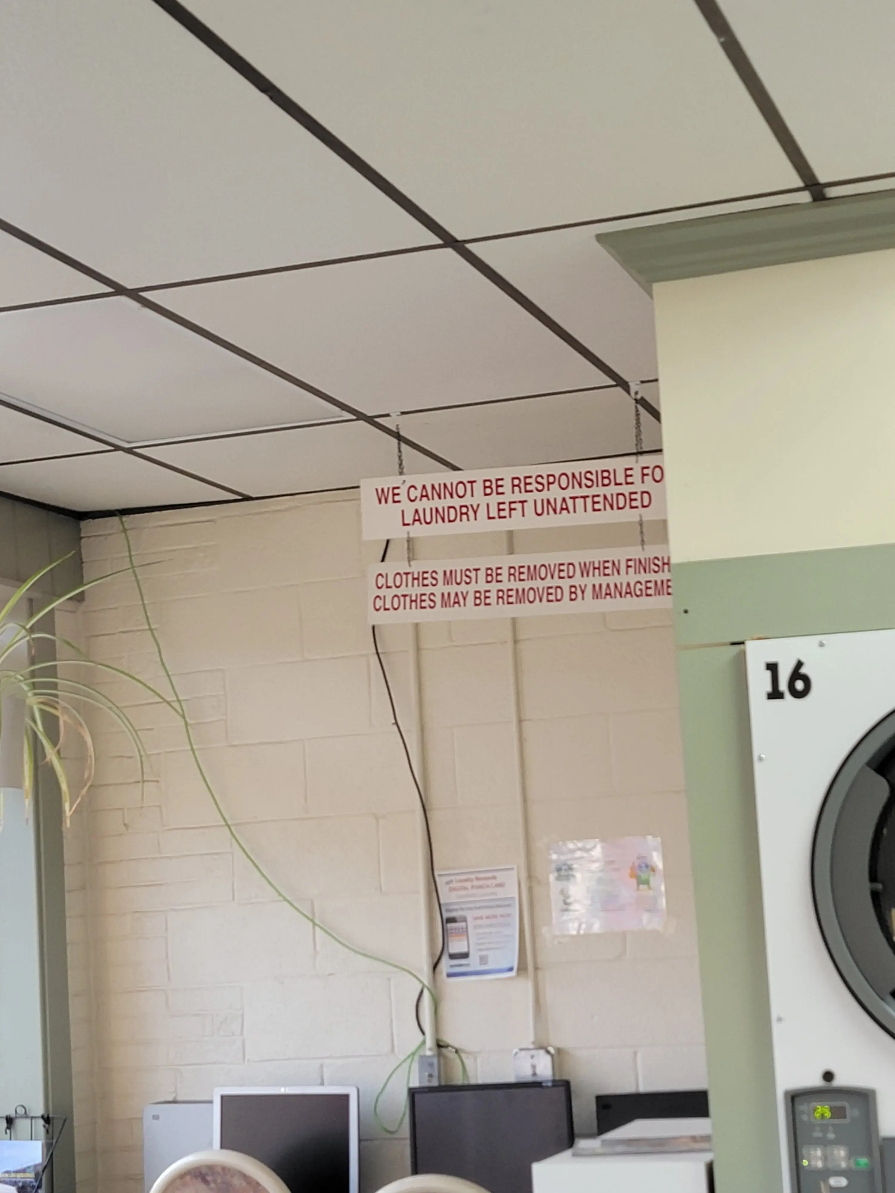 Eastfield Laundry - Image 6