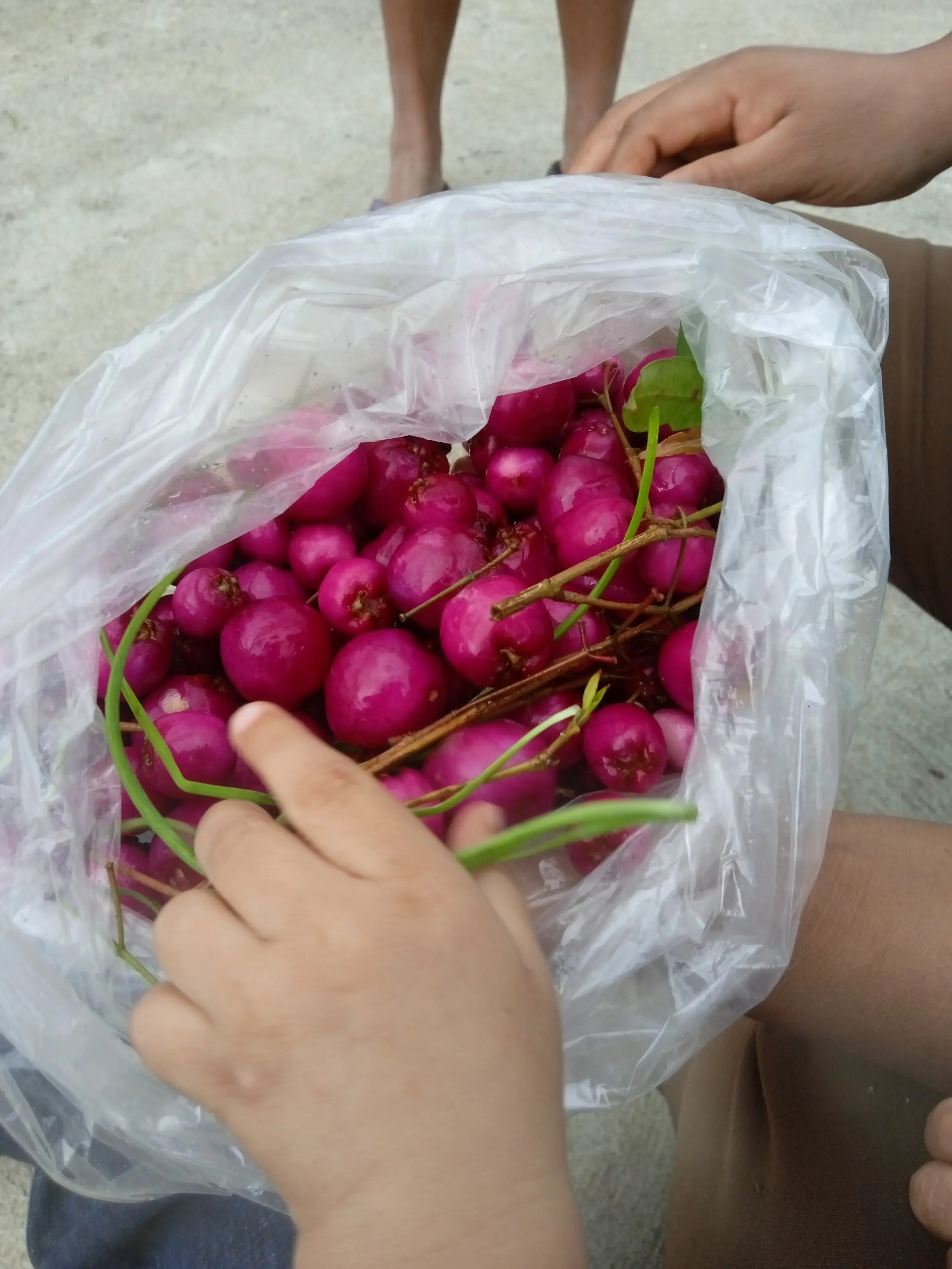 Eastville Laundromat thumbnail 7
