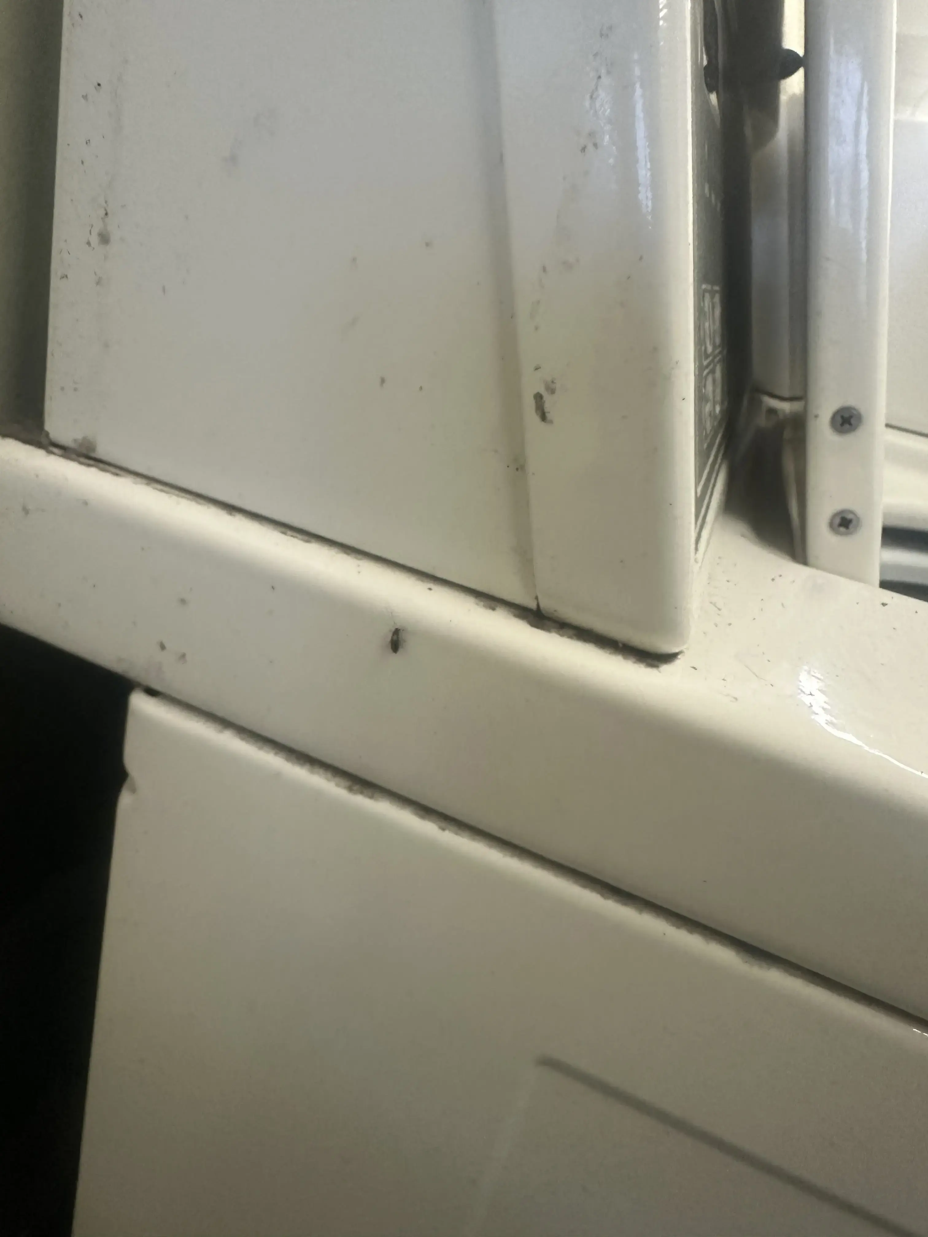 Easy Clean Laundromat in Edwardsville - Image 13