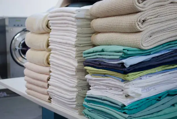 Eazy Breezy Laundry - Image 5