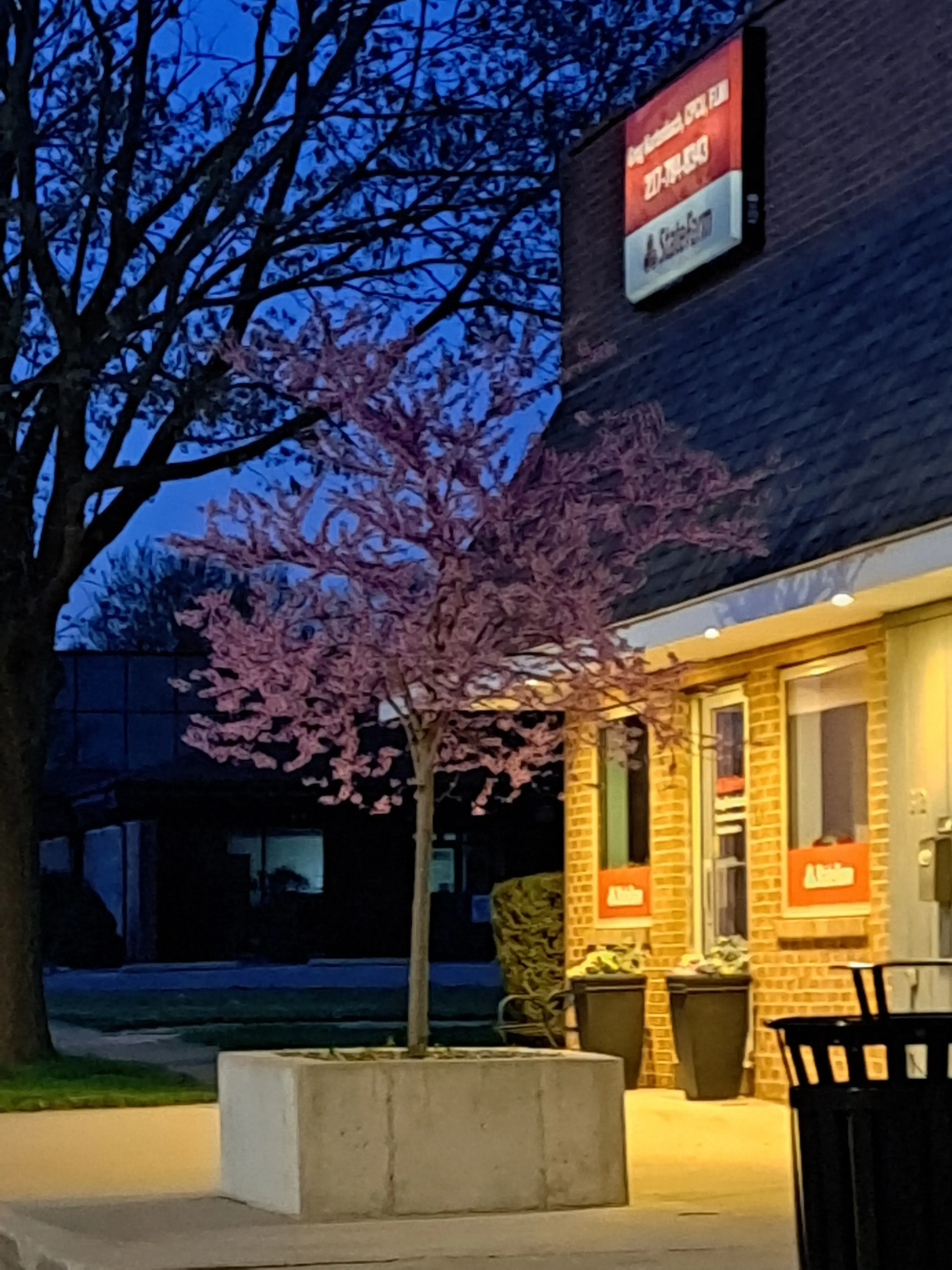 Eckerty's Laundry thumbnail 6