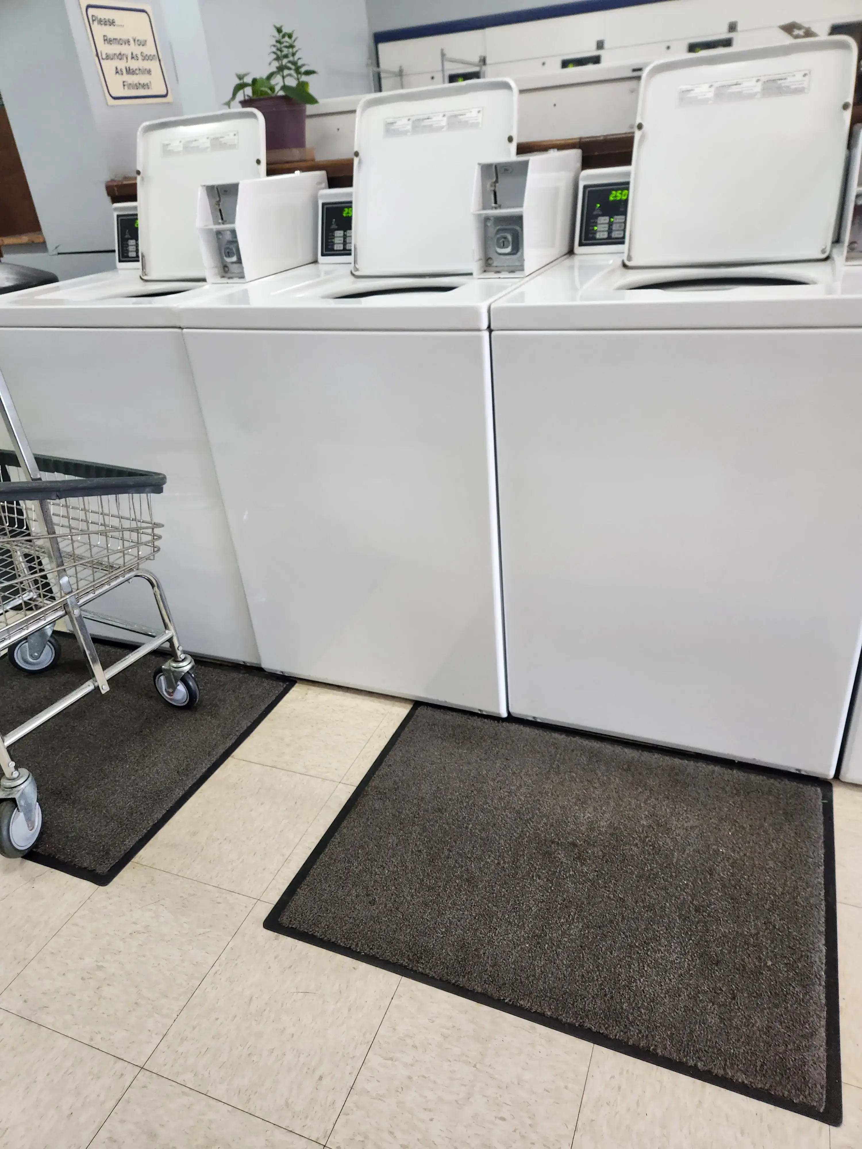 Eckerty's Laundry - Image 4