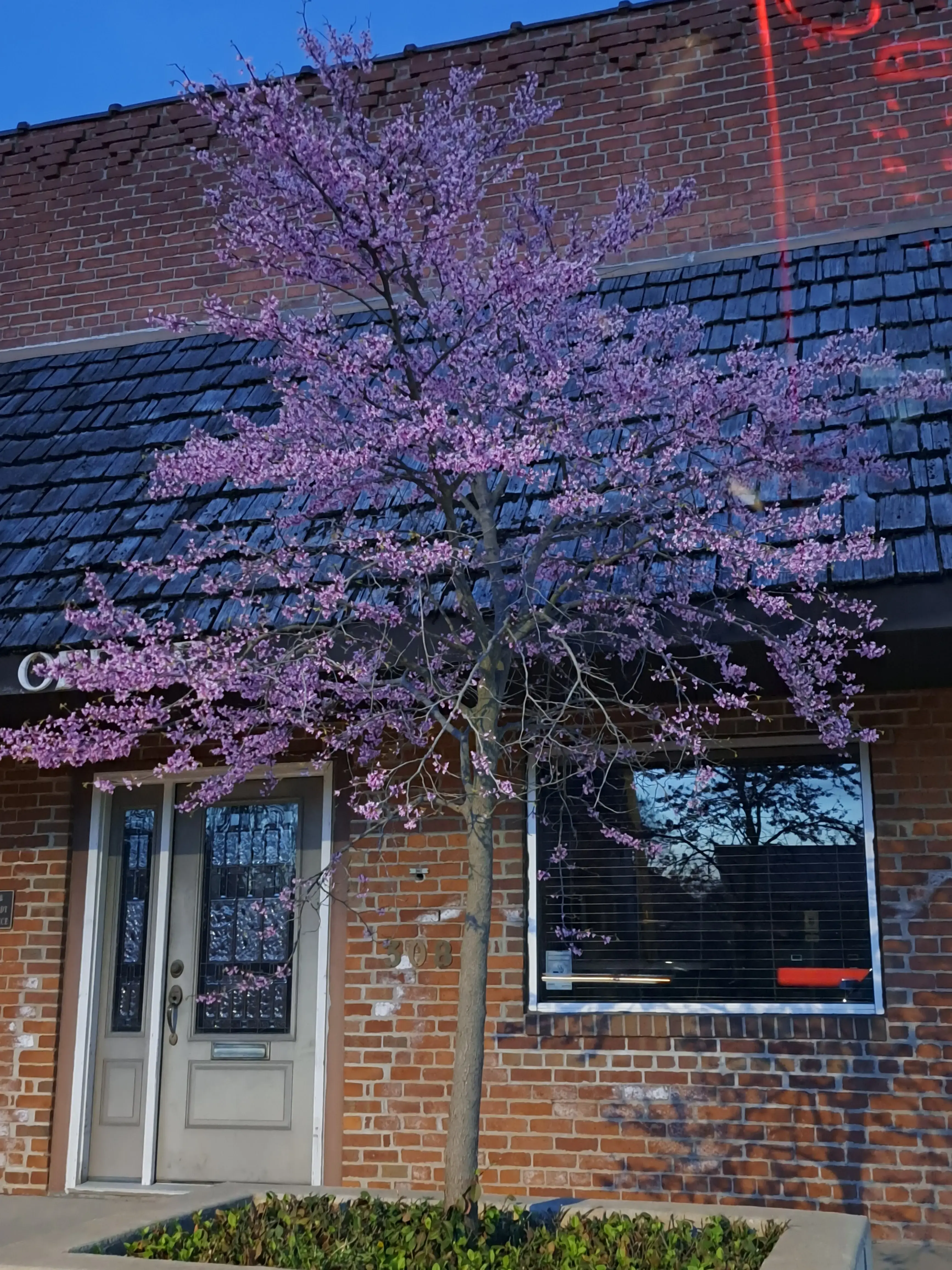 Eckerty's Laundry - Image 2