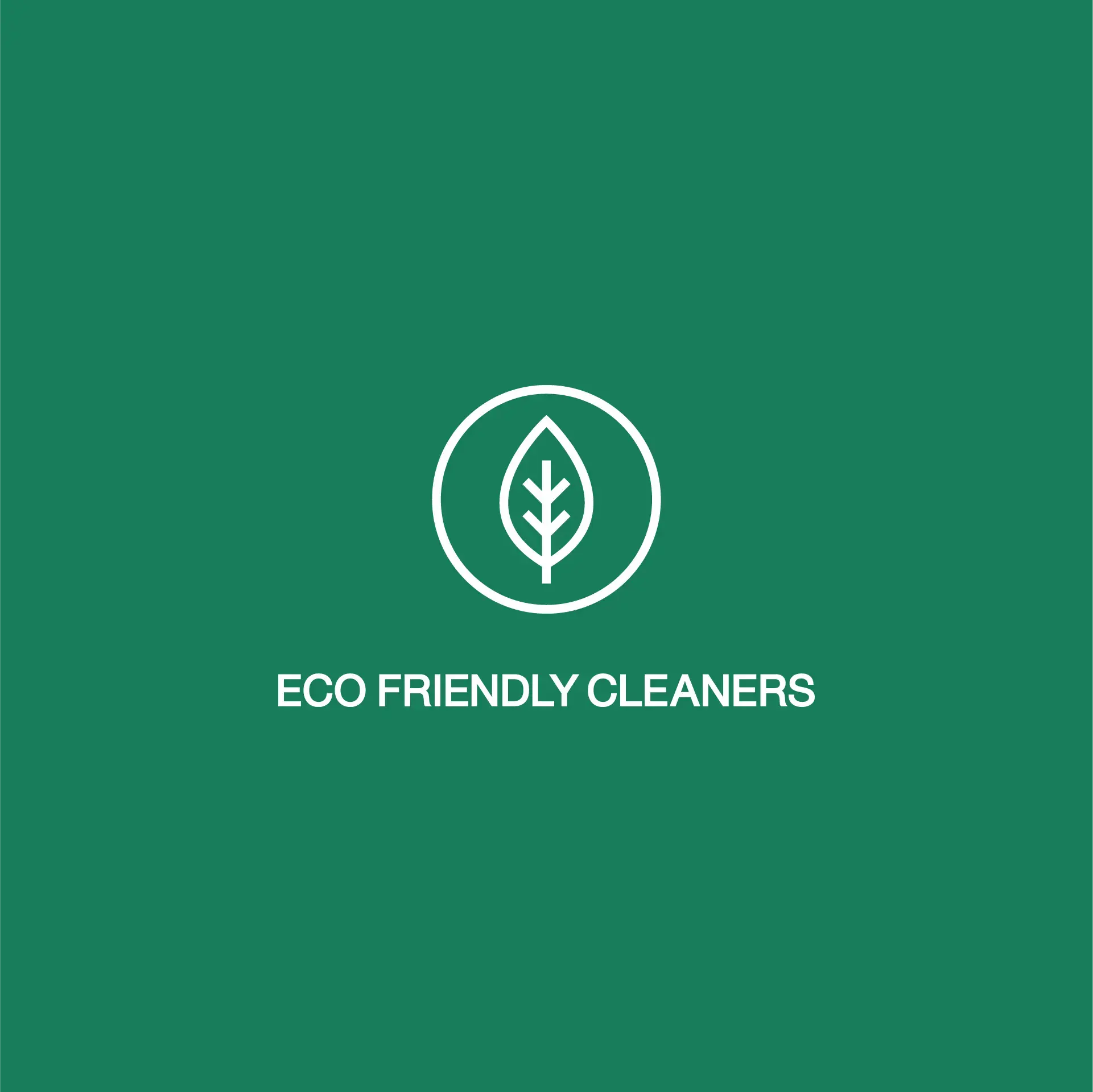 Eco Friendly Cleaners thumbnail 17