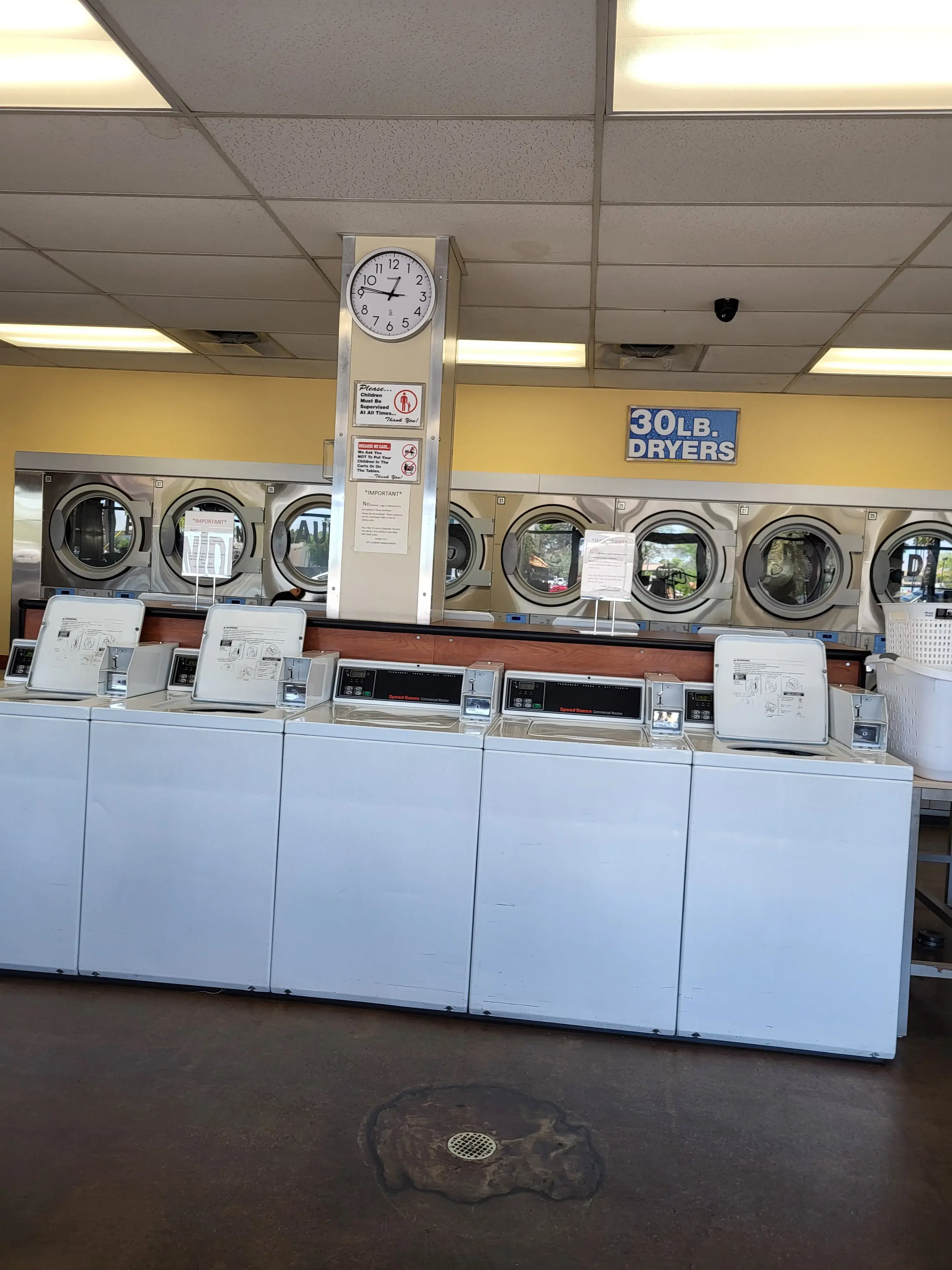 Eco Laundry thumbnail 20