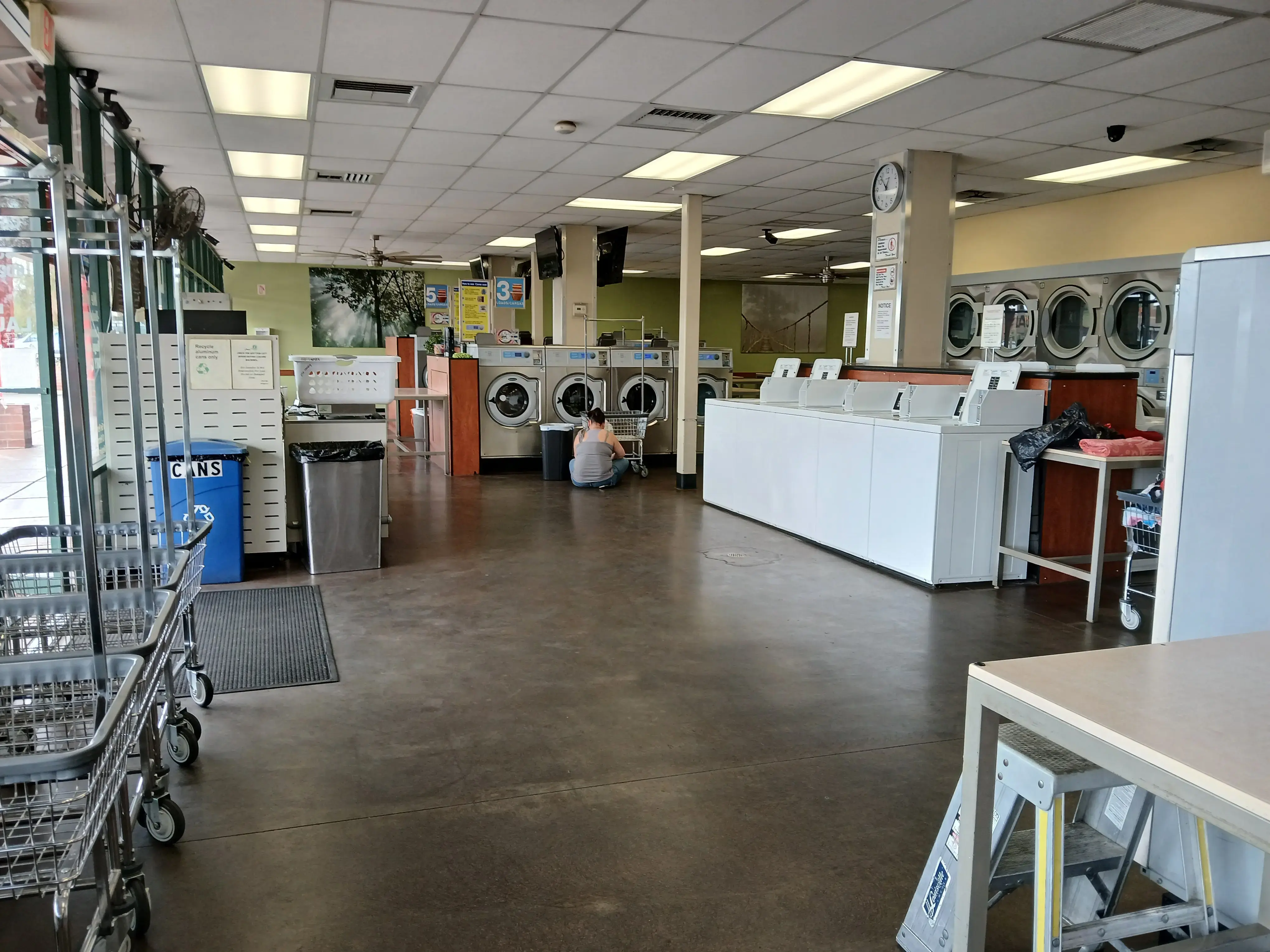 Eco Laundry thumbnail 18
