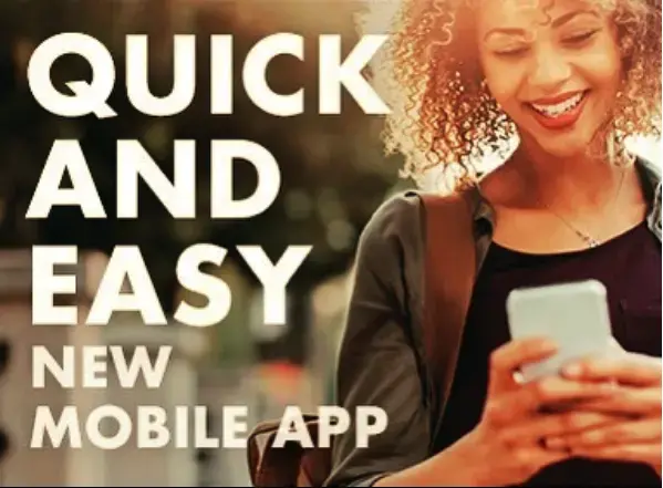 EcoClean Green Dry Cleaner & Laundry - Image 11