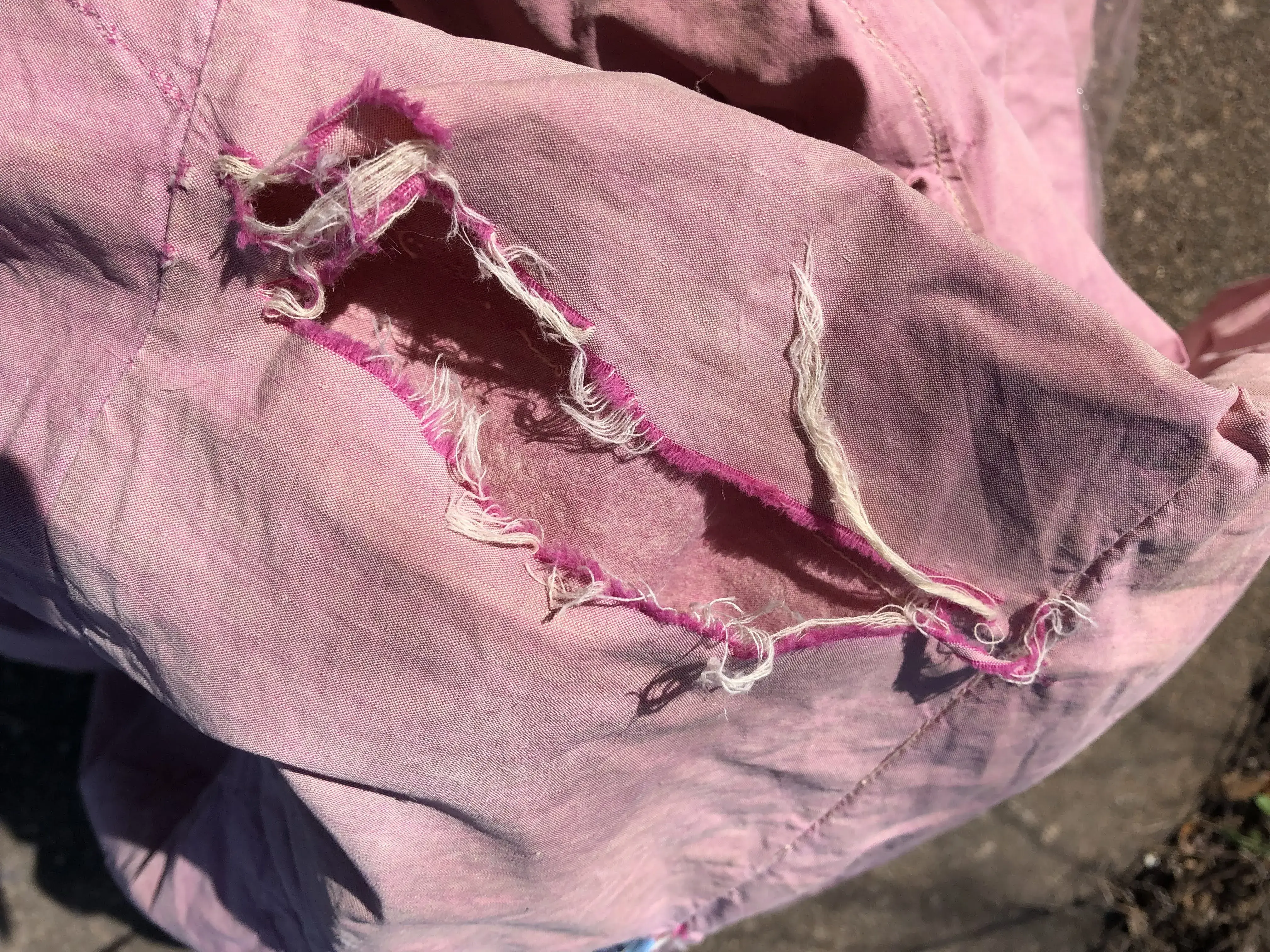 EcoClean Green Dry Cleaner & Laundry - Image 16