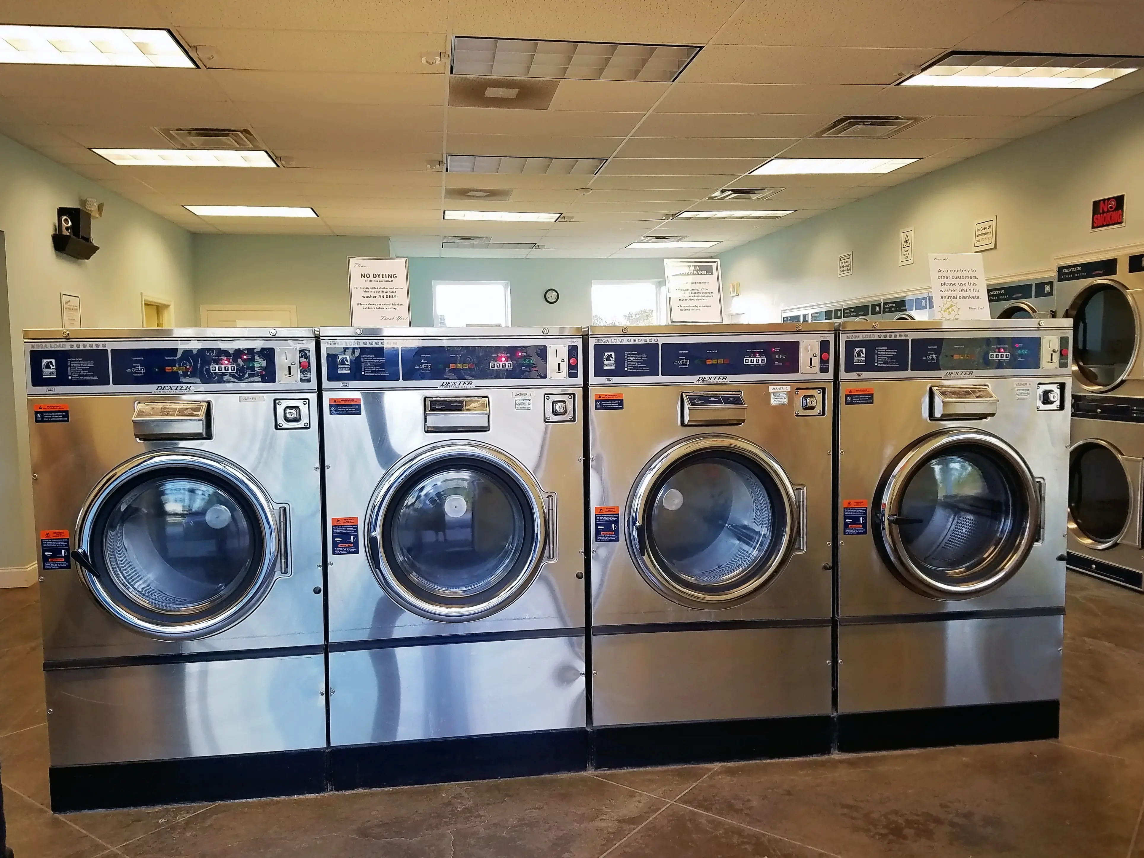 Eden Mist Laundromat thumbnail 12