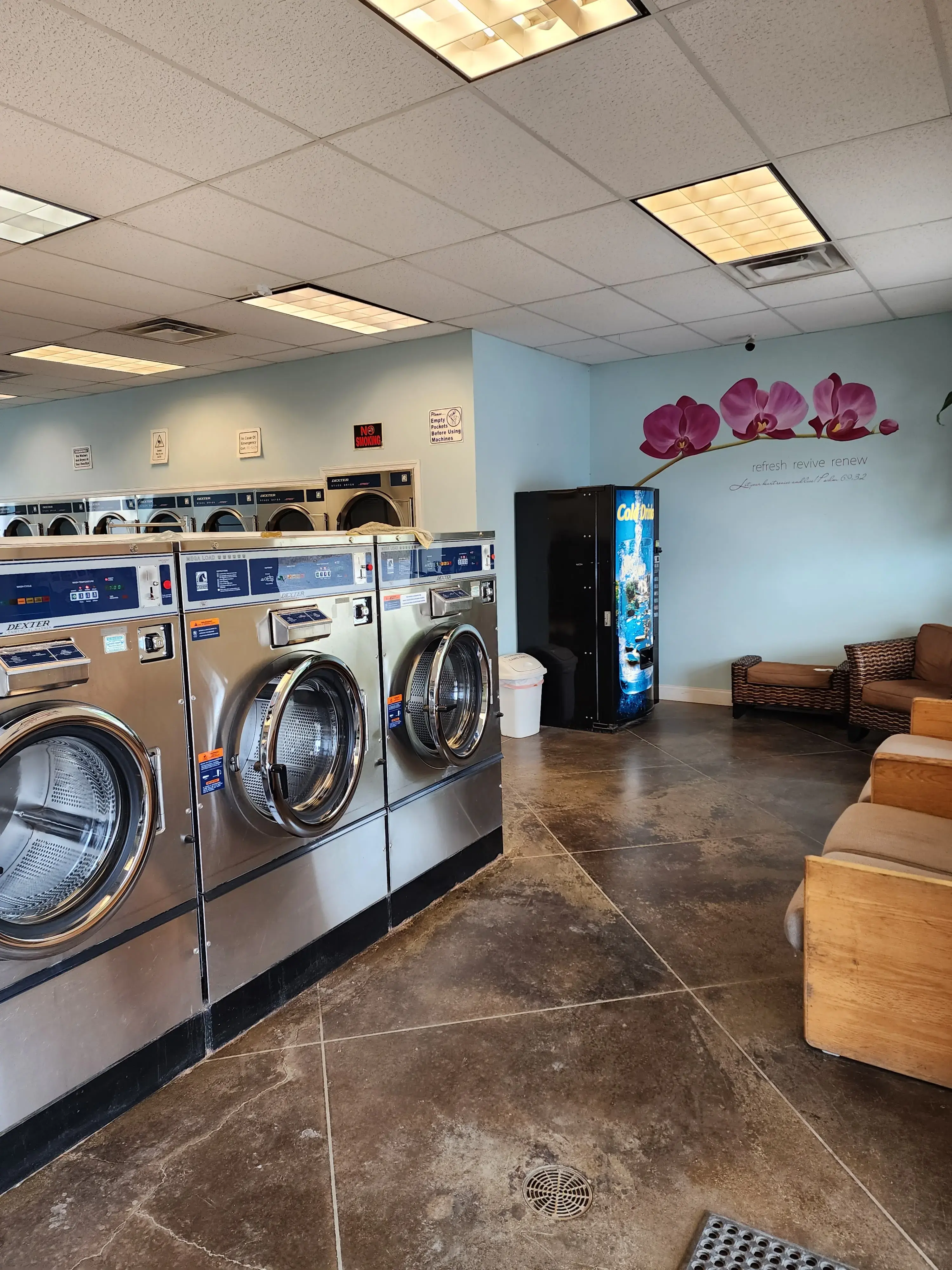 Eden Mist Laundromat - Image 10