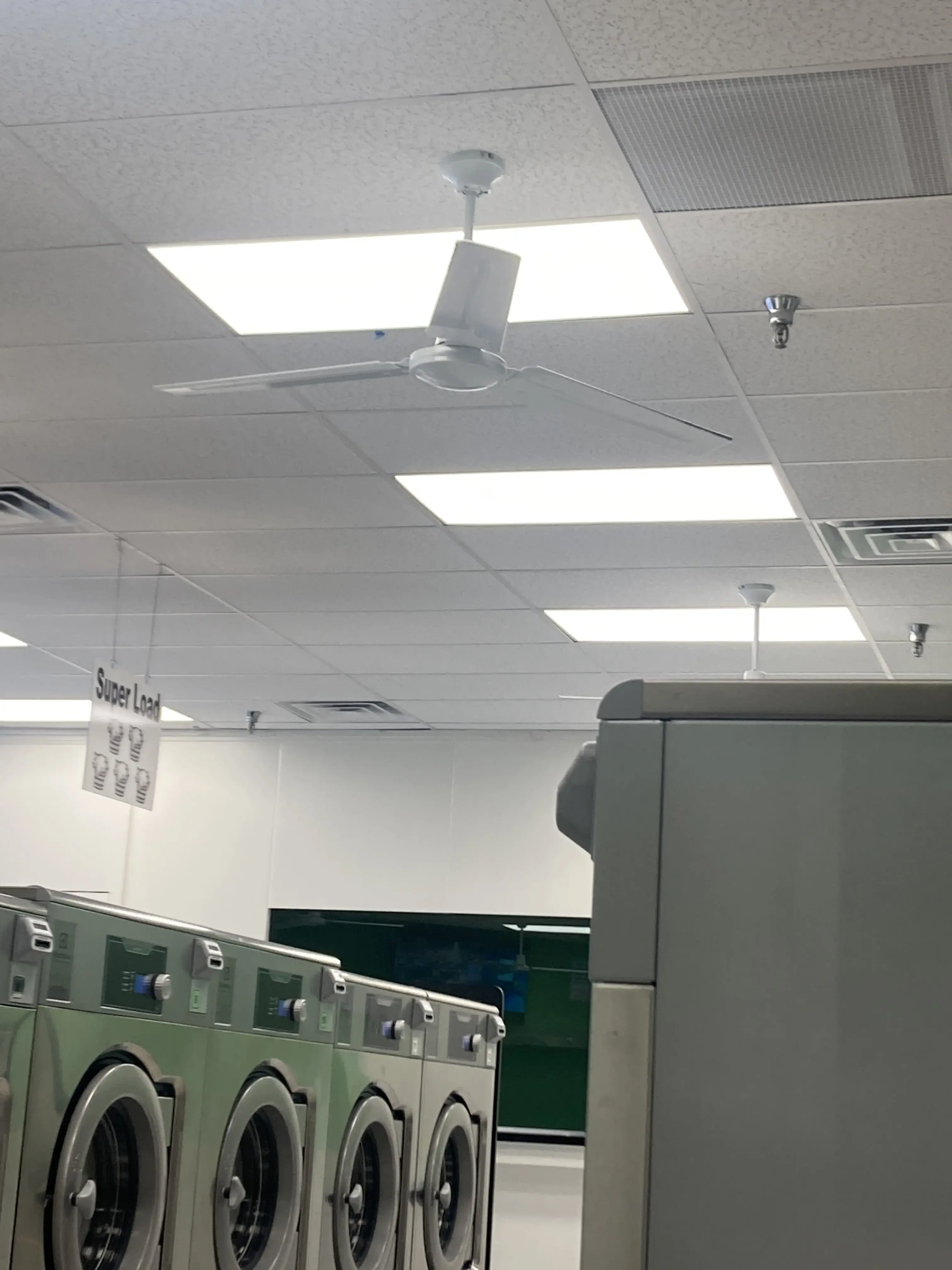 El Bladensburg landroma - Image 2