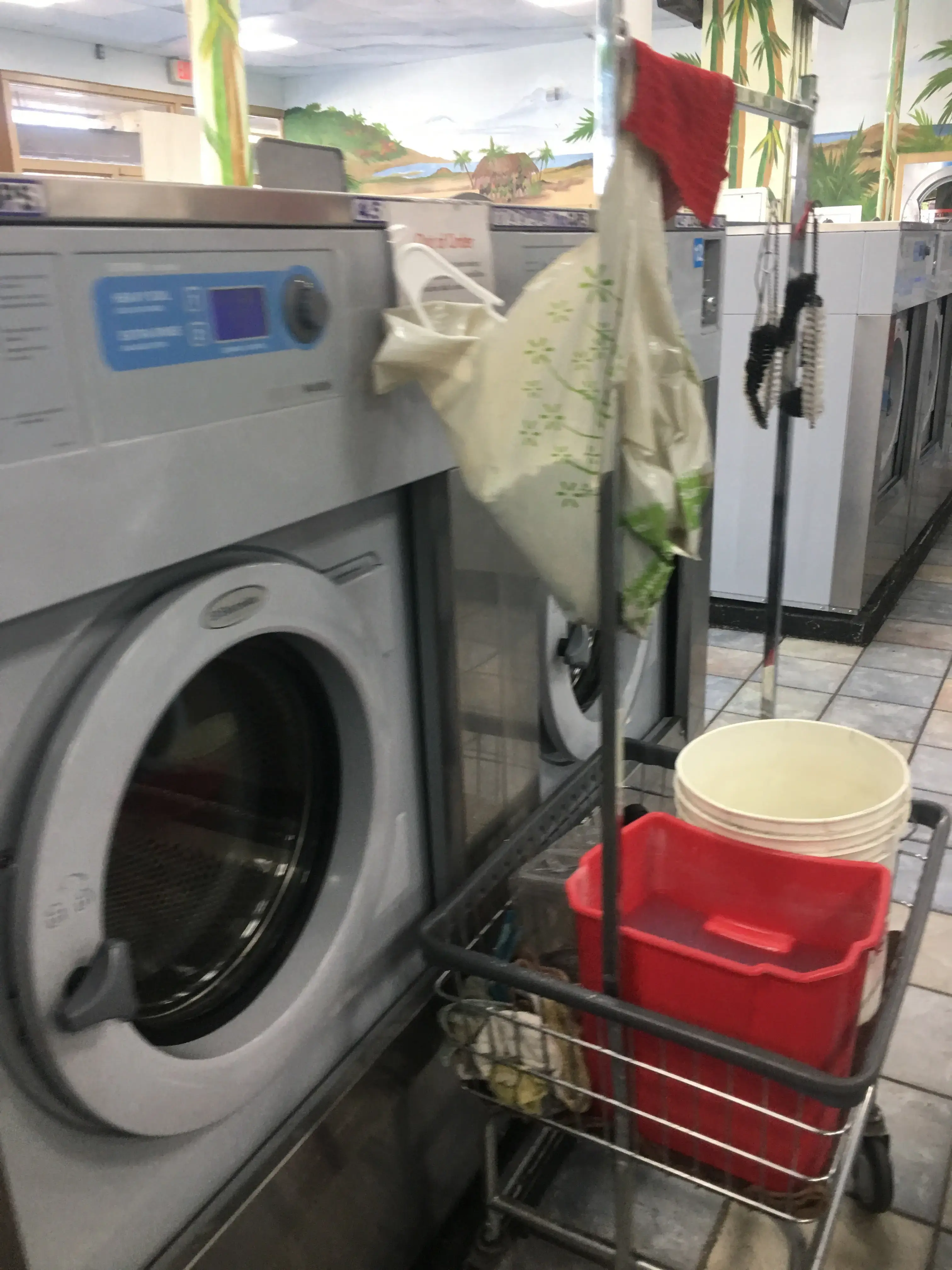 El Cajon Eco Laundry thumbnail 11