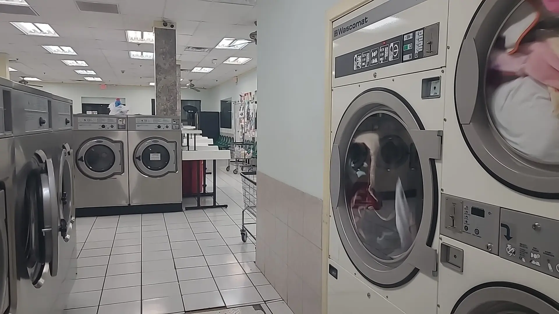 El Gran Laundromat - Image 8