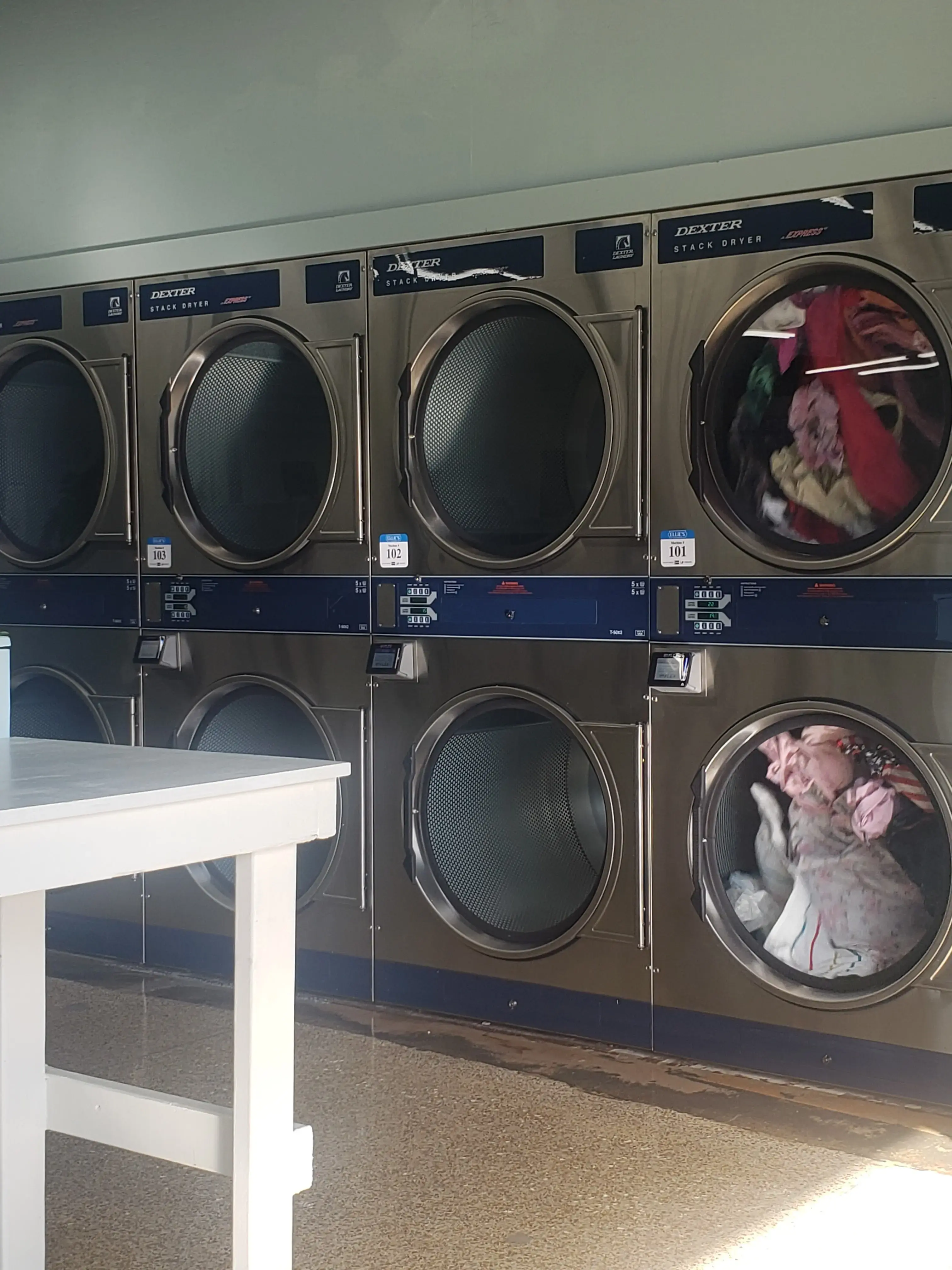 Ellie’s Laundry thumbnail 12